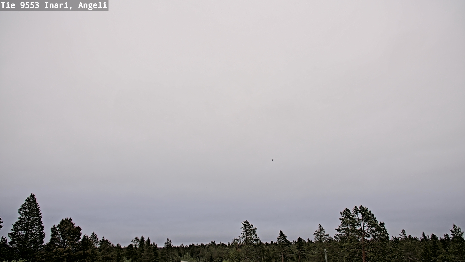 Kelikamerat Kuva Tie 9553 Inari, Angeli, Lintupuolivaara, Inari, Lappi