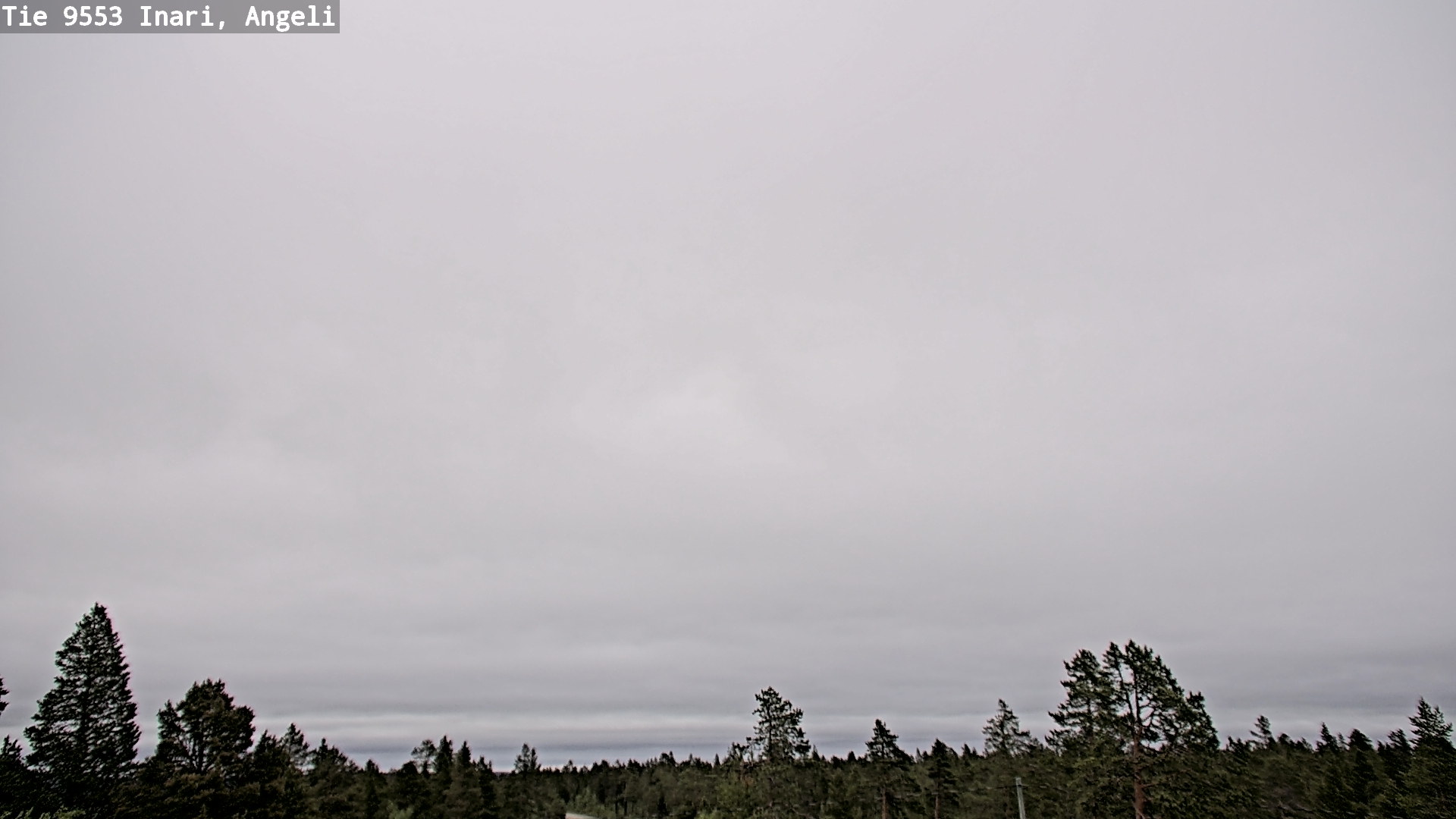Weather Camera Image Road 9553 Inari, Angeli, Lintupuolivaara, Inari, Lappi