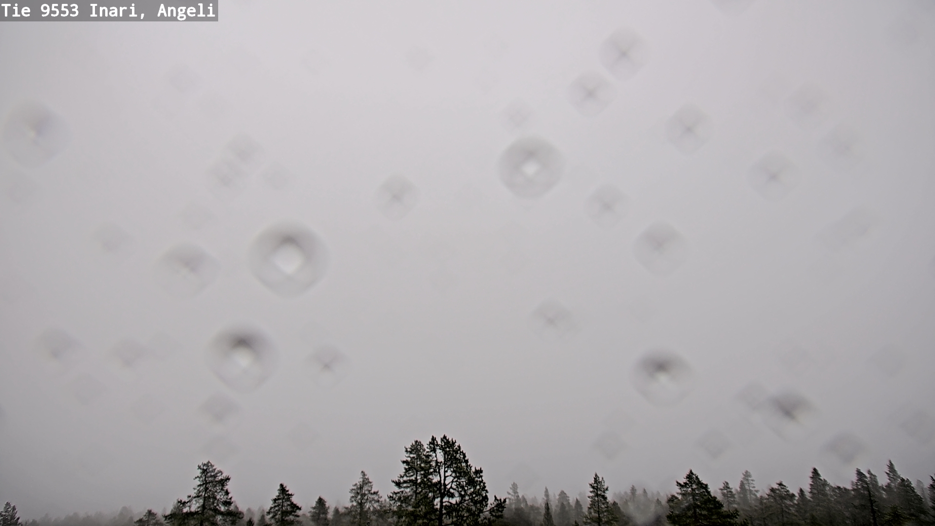 Kelikamerat Kuva Tie 9553 Inari, Angeli, Lintupuolivaara, Inari, Lappi