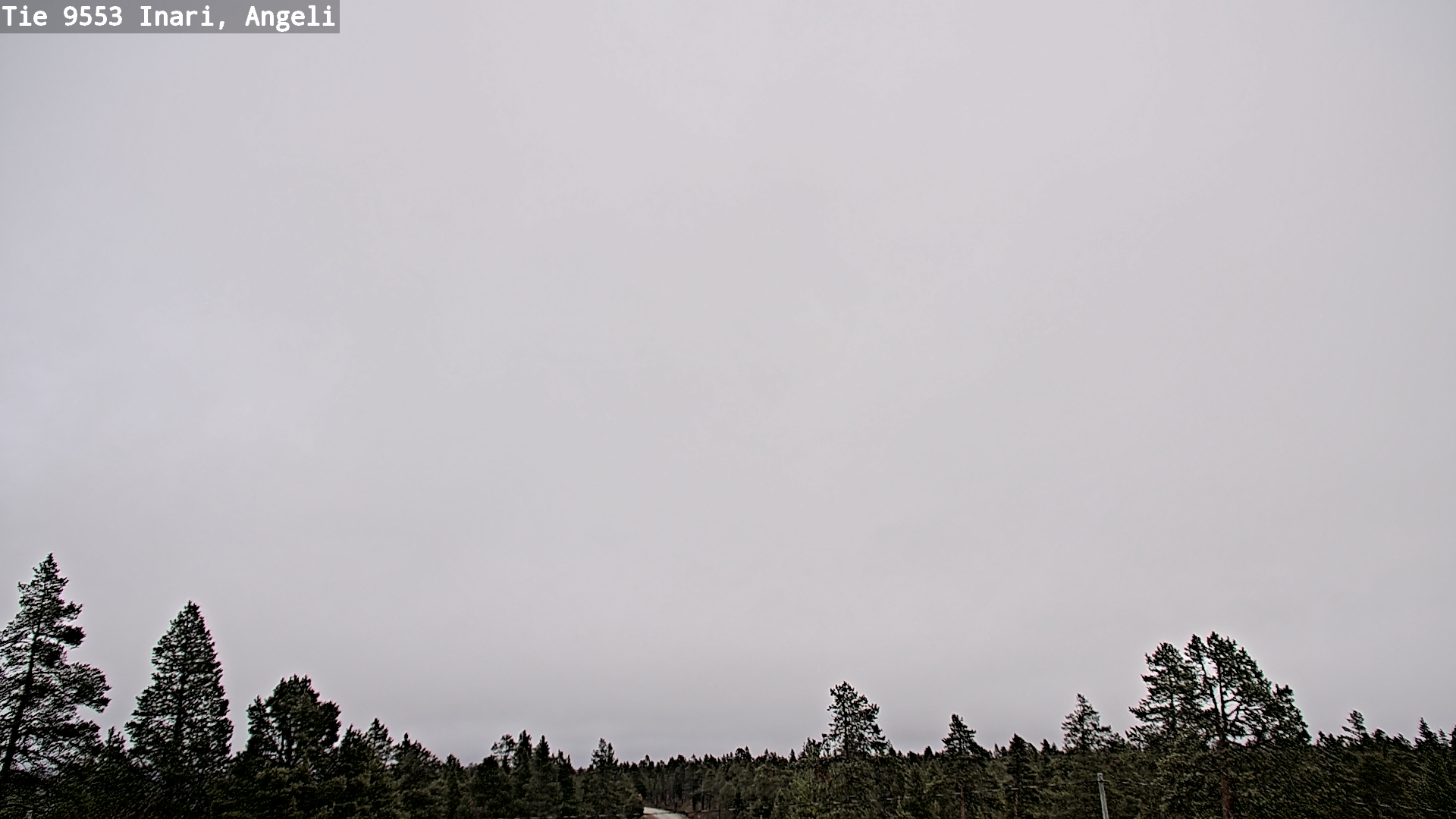 Weather Camera Image Road 9553 Inari, Angeli, Lintupuolivaara, Inari, Lappi