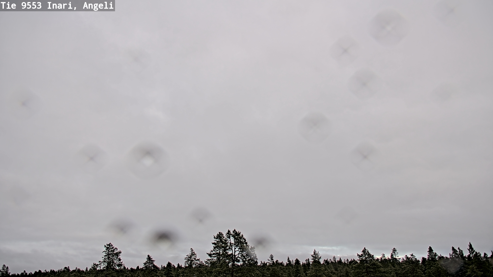 Kelikamerat Kuva Tie 9553 Inari, Angeli, Lintupuolivaara, Inari, Lappi