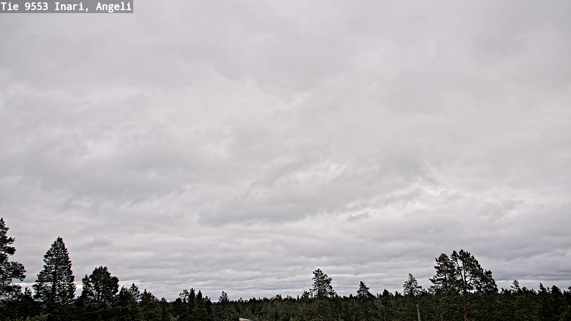 Kelikamerat Kuva Tie 9553 Inari, Angeli, Lintupuolivaara, Inari, Lappi