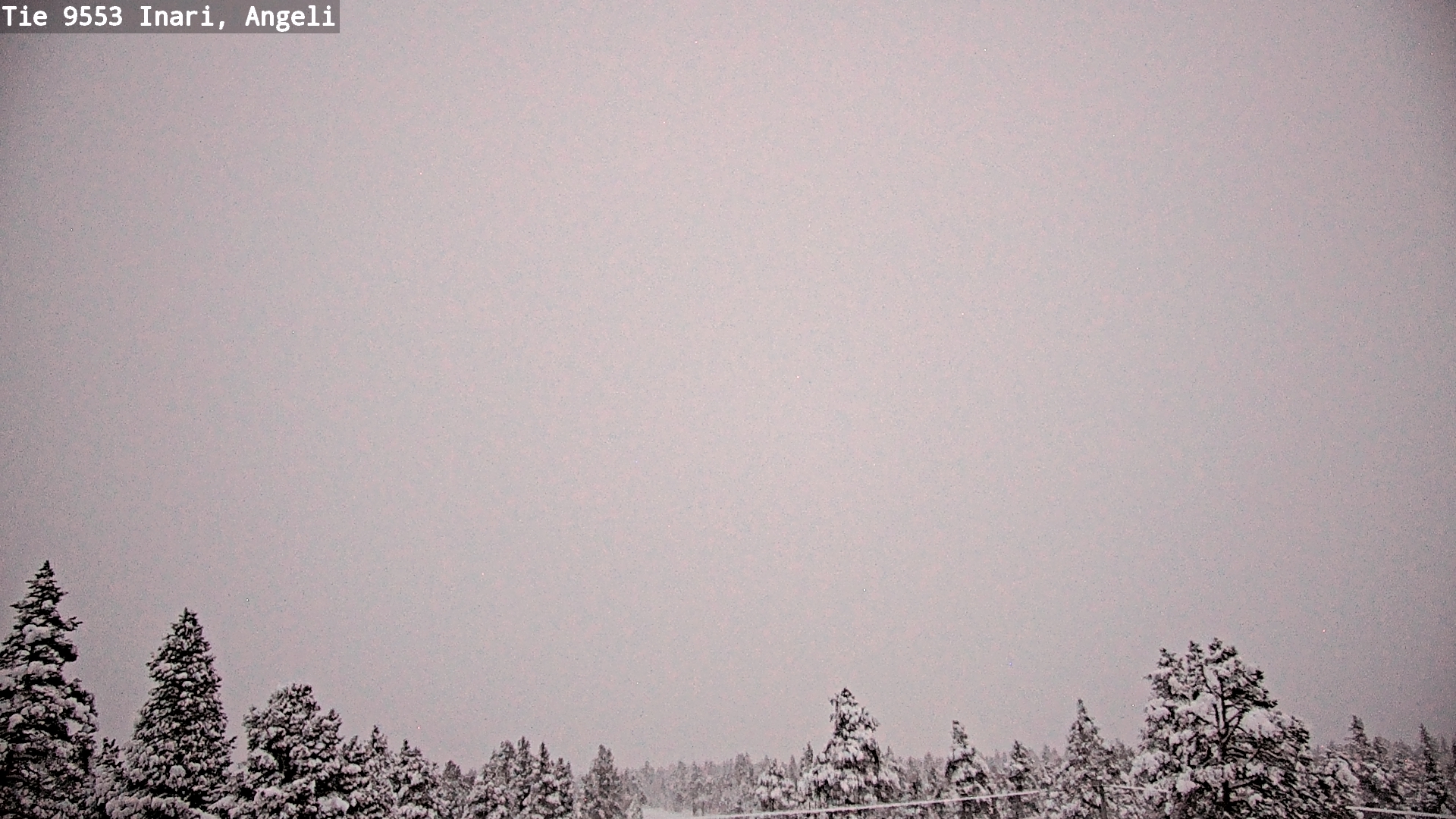 Weather Camera Image Road 9553 Inari, Angeli, Lintupuolivaara, Inari, Lappi