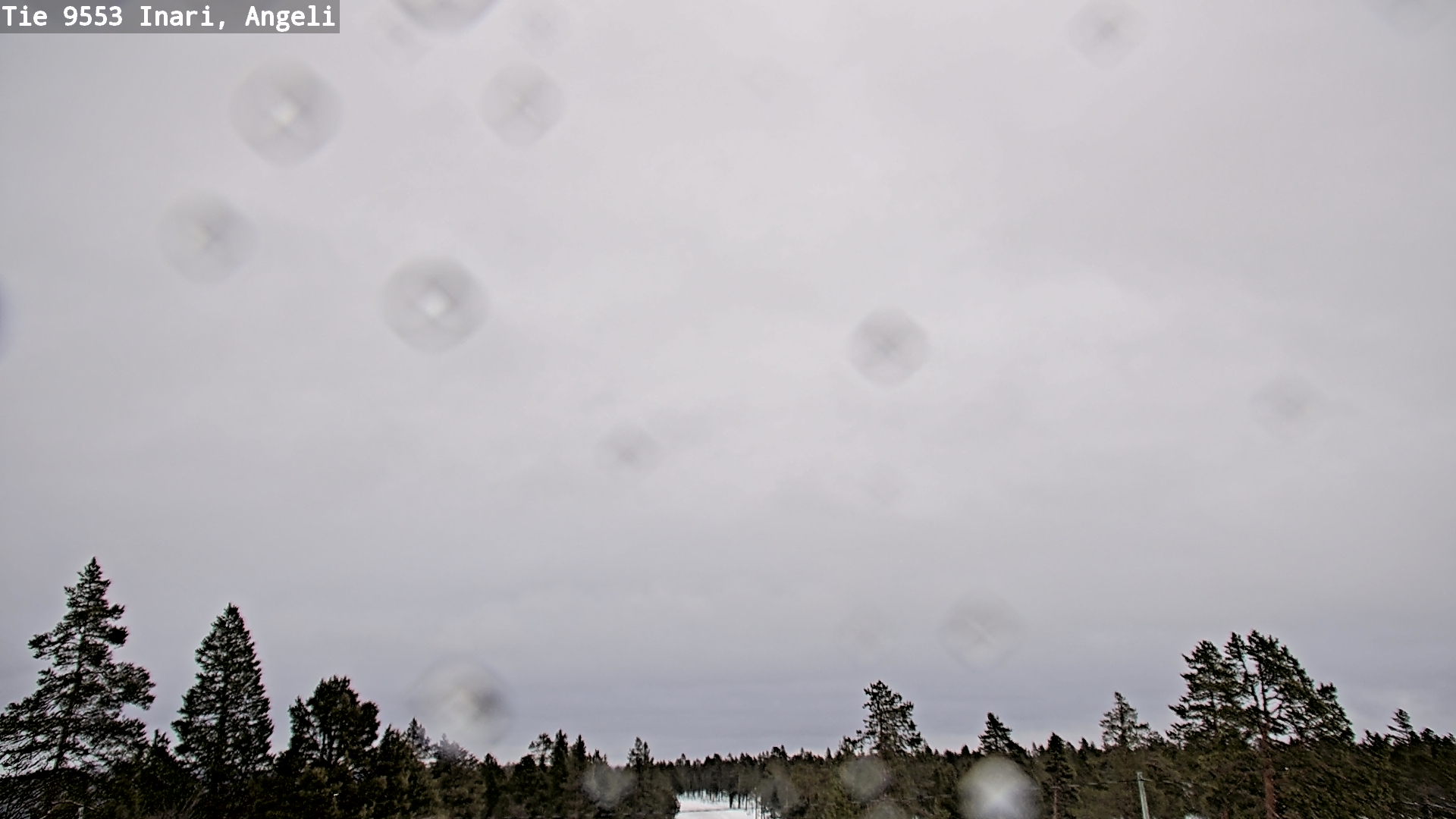 Kelikamerat Kuva Tie 9553 Inari, Angeli, Lintupuolivaara, Inari, Lappi