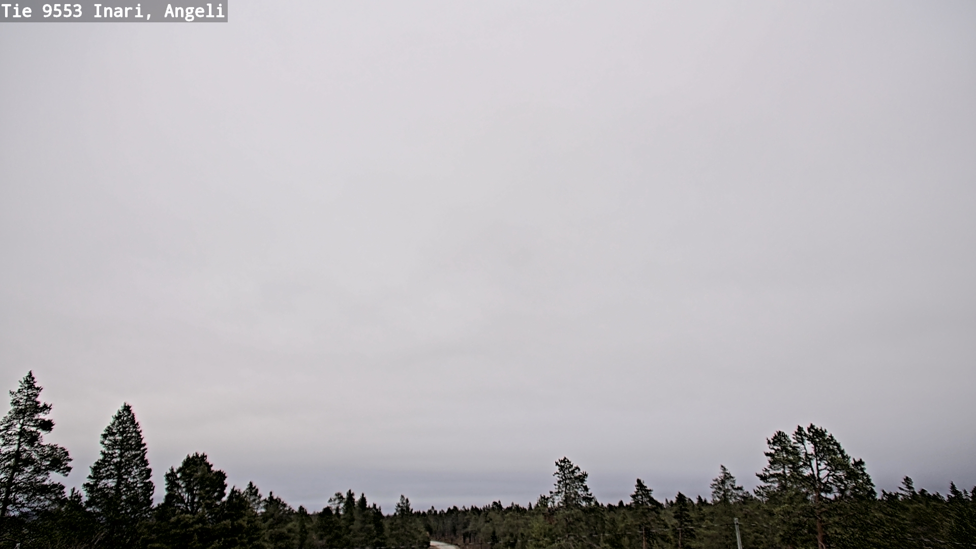 Kelikamerat Kuva Tie 9553 Inari, Angeli, Lintupuolivaara, Inari, Lappi