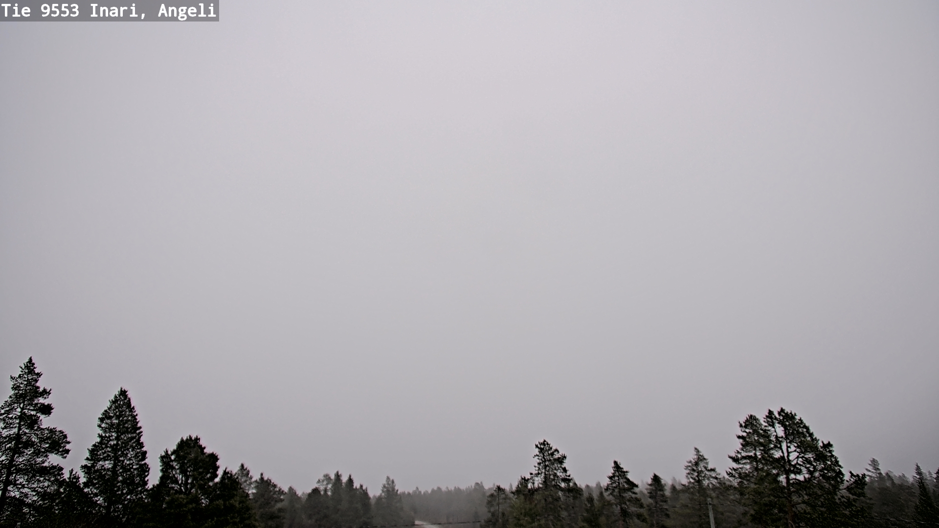 Kelikamerat Kuva Tie 9553 Inari, Angeli, Lintupuolivaara, Inari, Lappi