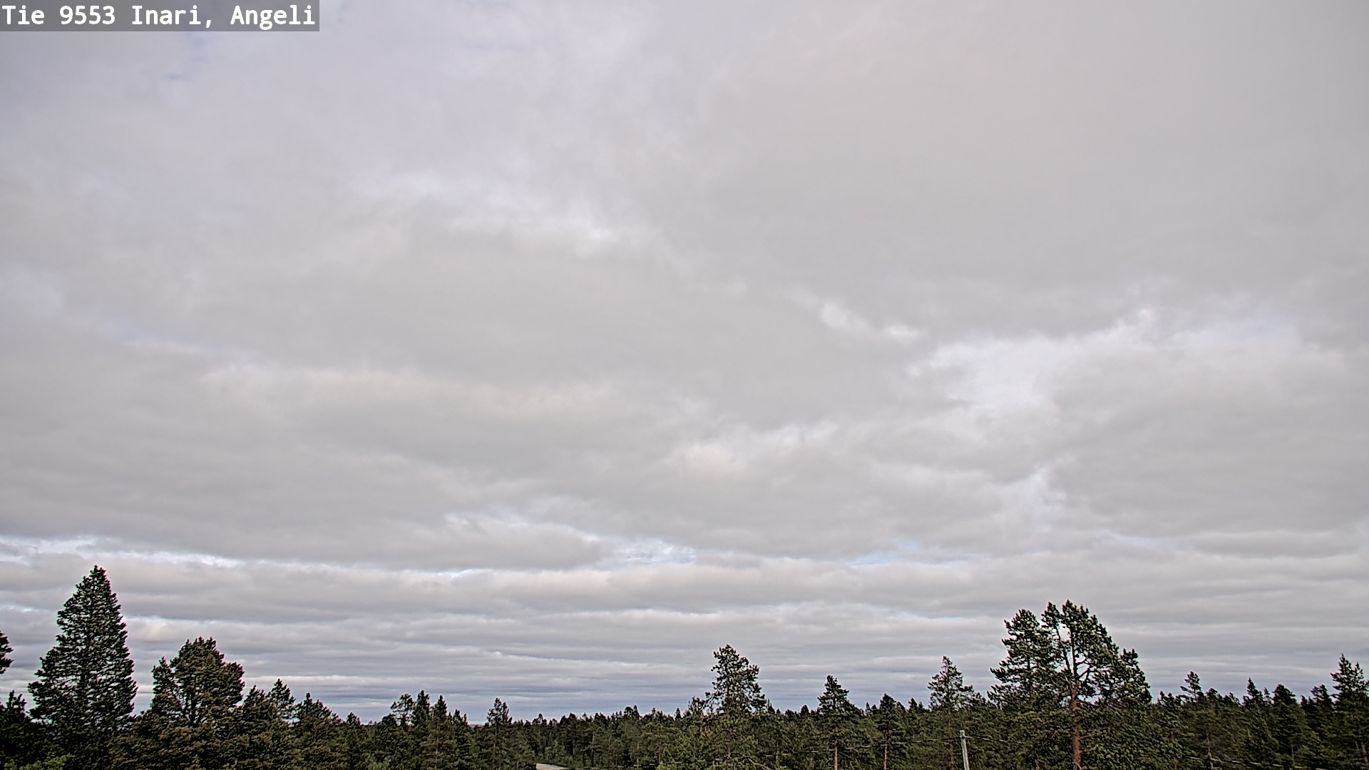 Kelikamerat Kuva Tie 9553 Inari, Angeli, Lintupuolivaara, Inari, Lappi