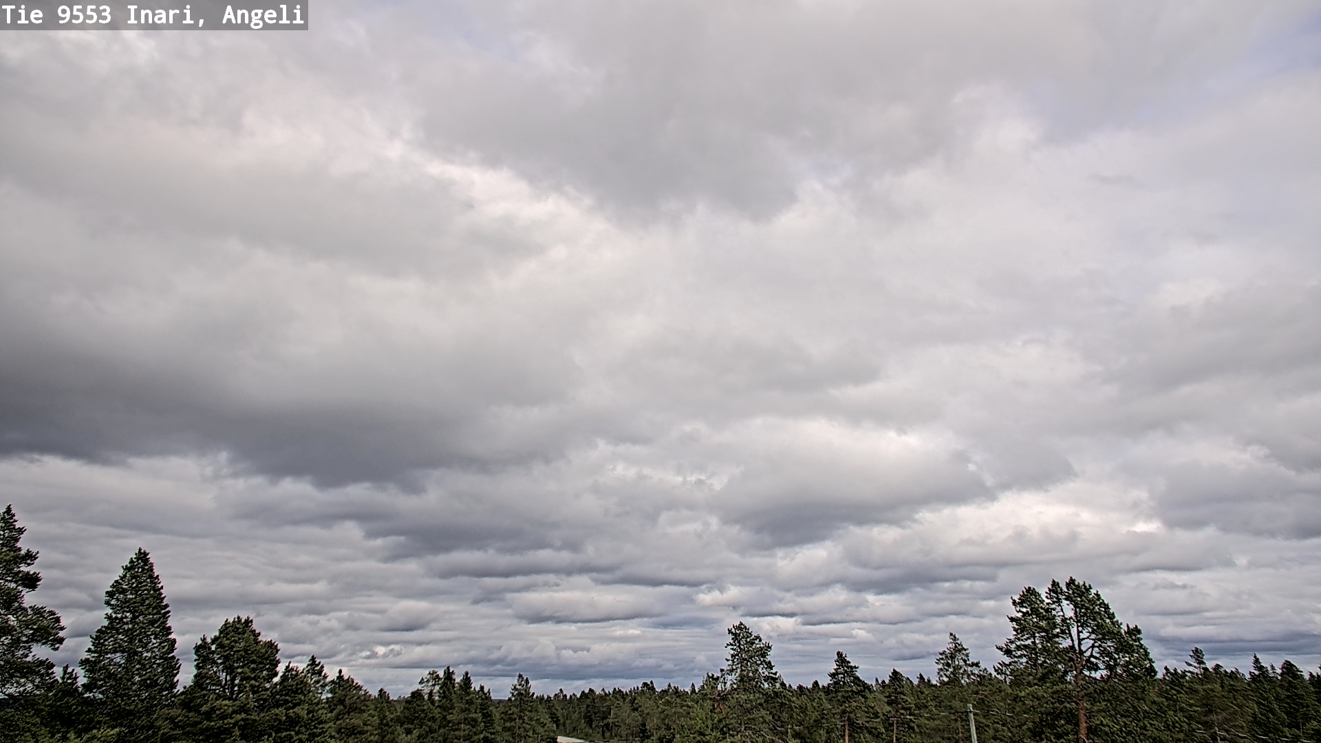 Kelikamerat Kuva Tie 9553 Inari, Angeli, Lintupuolivaara, Inari, Lappi
