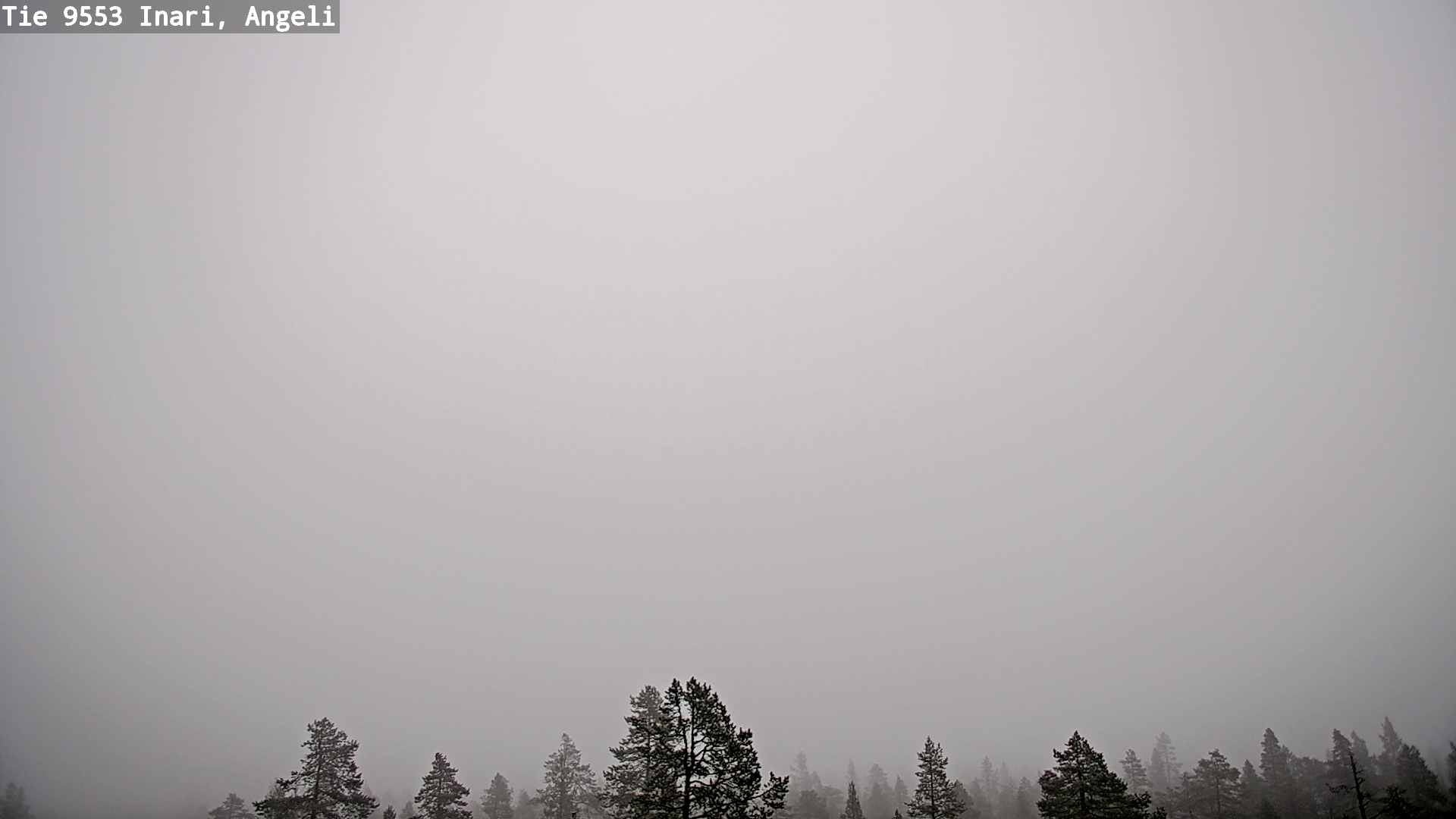 Kelikamerat Kuva Tie 9553 Inari, Angeli, Lintupuolivaara, Inari, Lappi