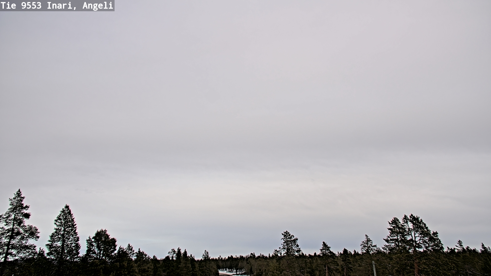 Weather Camera Image Road 9553 Inari, Angeli, Lintupuolivaara, Inari, Lappi