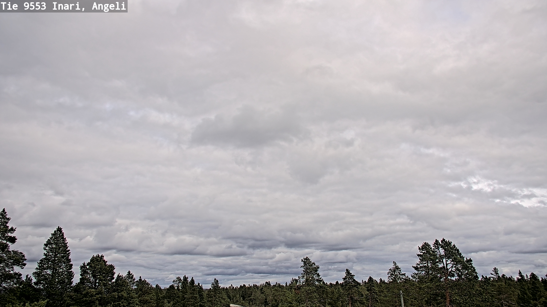 Kelikamerat Kuva Tie 9553 Inari, Angeli, Lintupuolivaara, Inari, Lappi