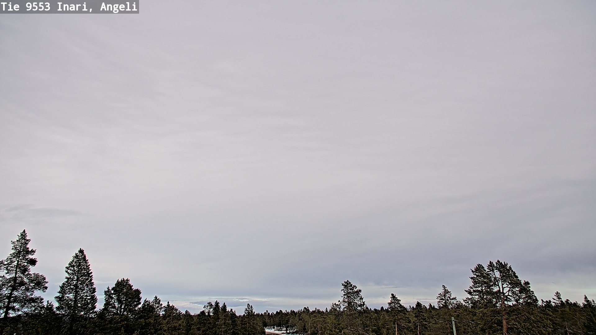 Weather Camera Image Road 9553 Inari, Angeli, Lintupuolivaara, Inari, Lappi