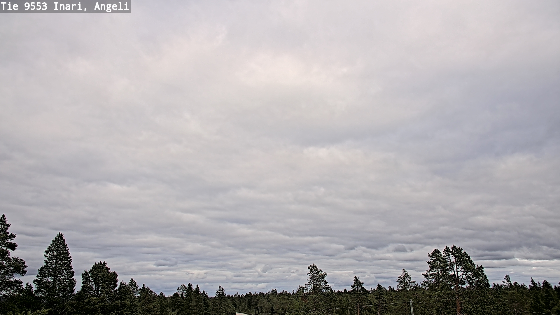 Kelikamerat Kuva Tie 9553 Inari, Angeli, Lintupuolivaara, Inari, Lappi
