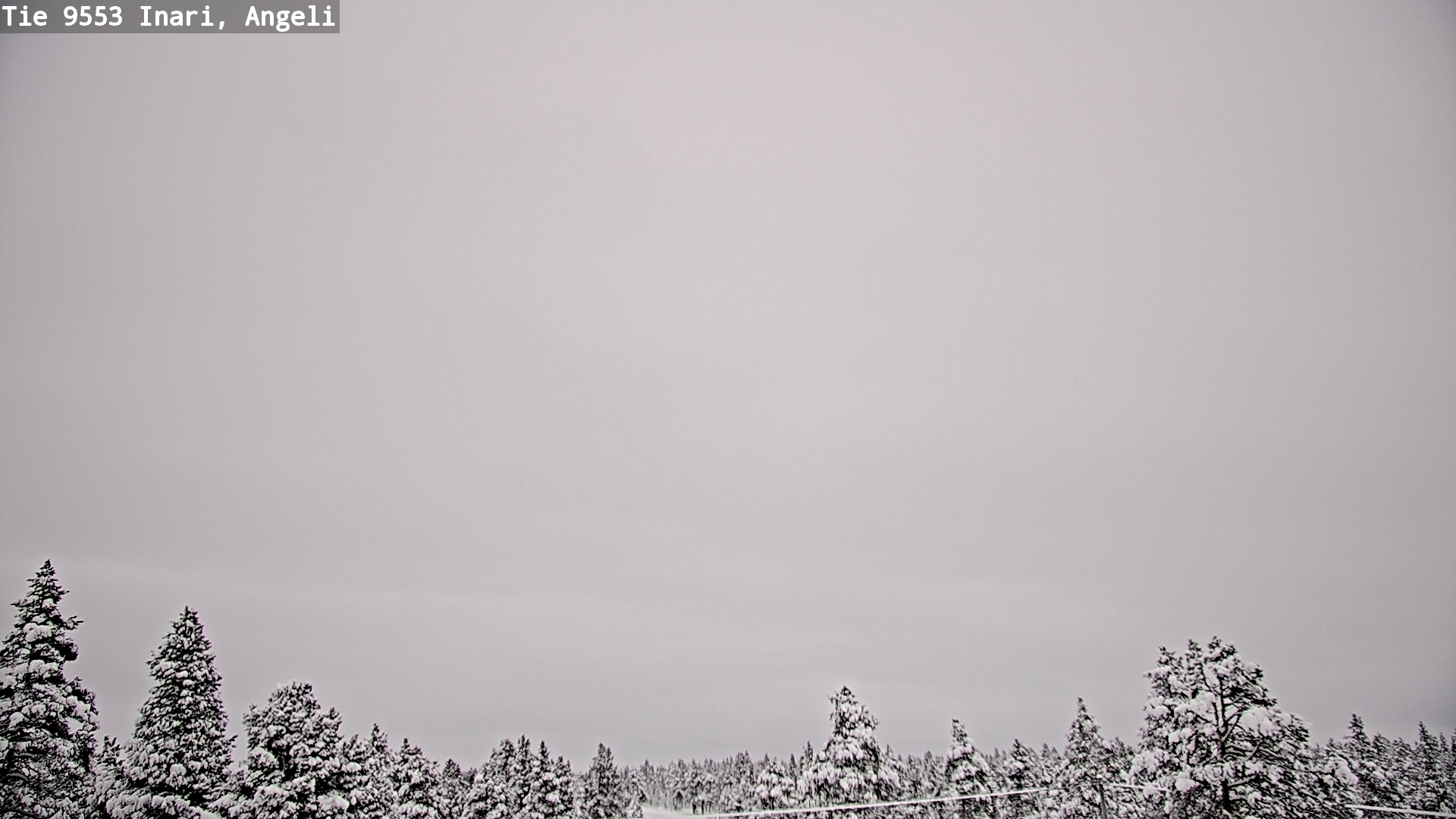 Weather Camera Image Road 9553 Inari, Angeli, Lintupuolivaara, Inari, Lappi