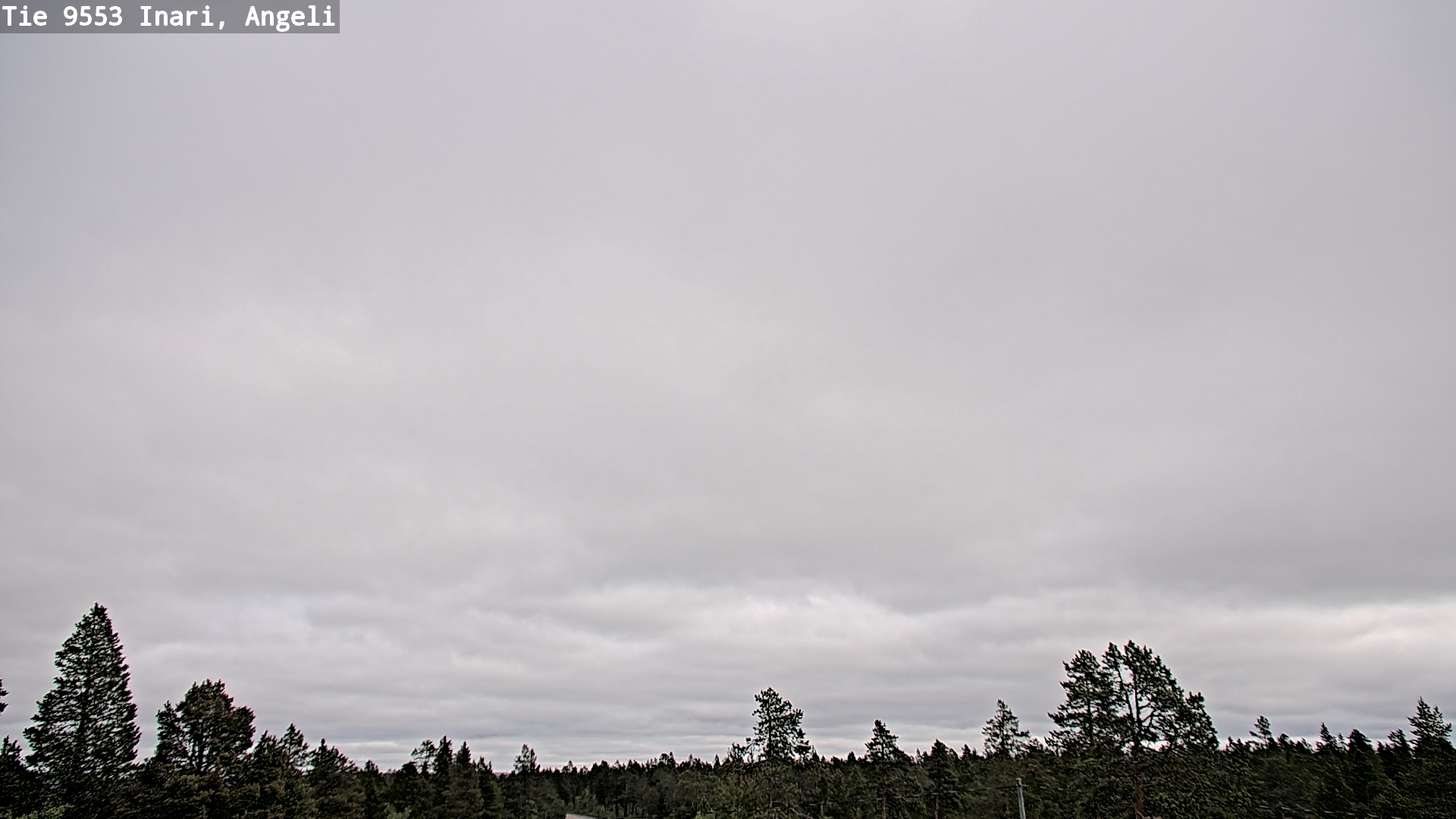 Kelikamerat Kuva Tie 9553 Inari, Angeli, Lintupuolivaara, Inari, Lappi