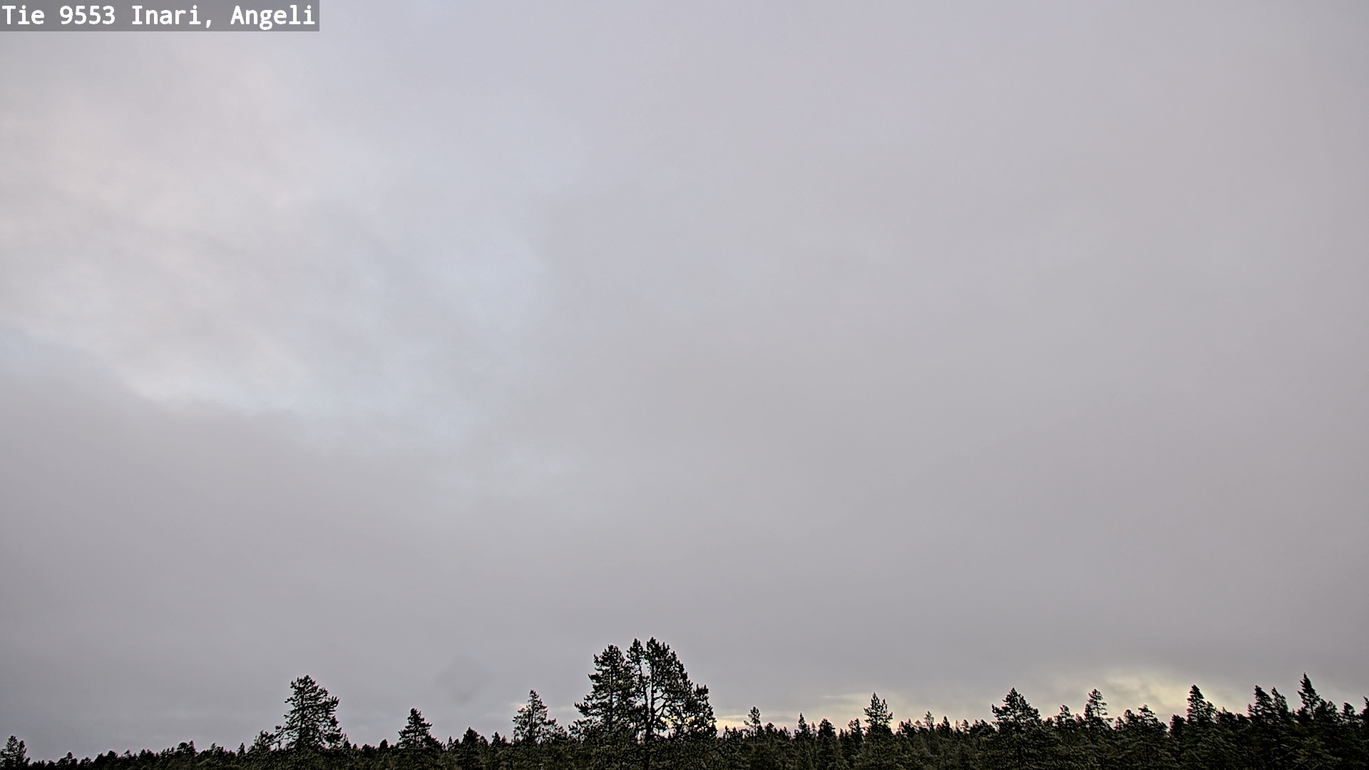 Kelikamerat Kuva Tie 9553 Inari, Angeli, Lintupuolivaara, Inari, Lappi