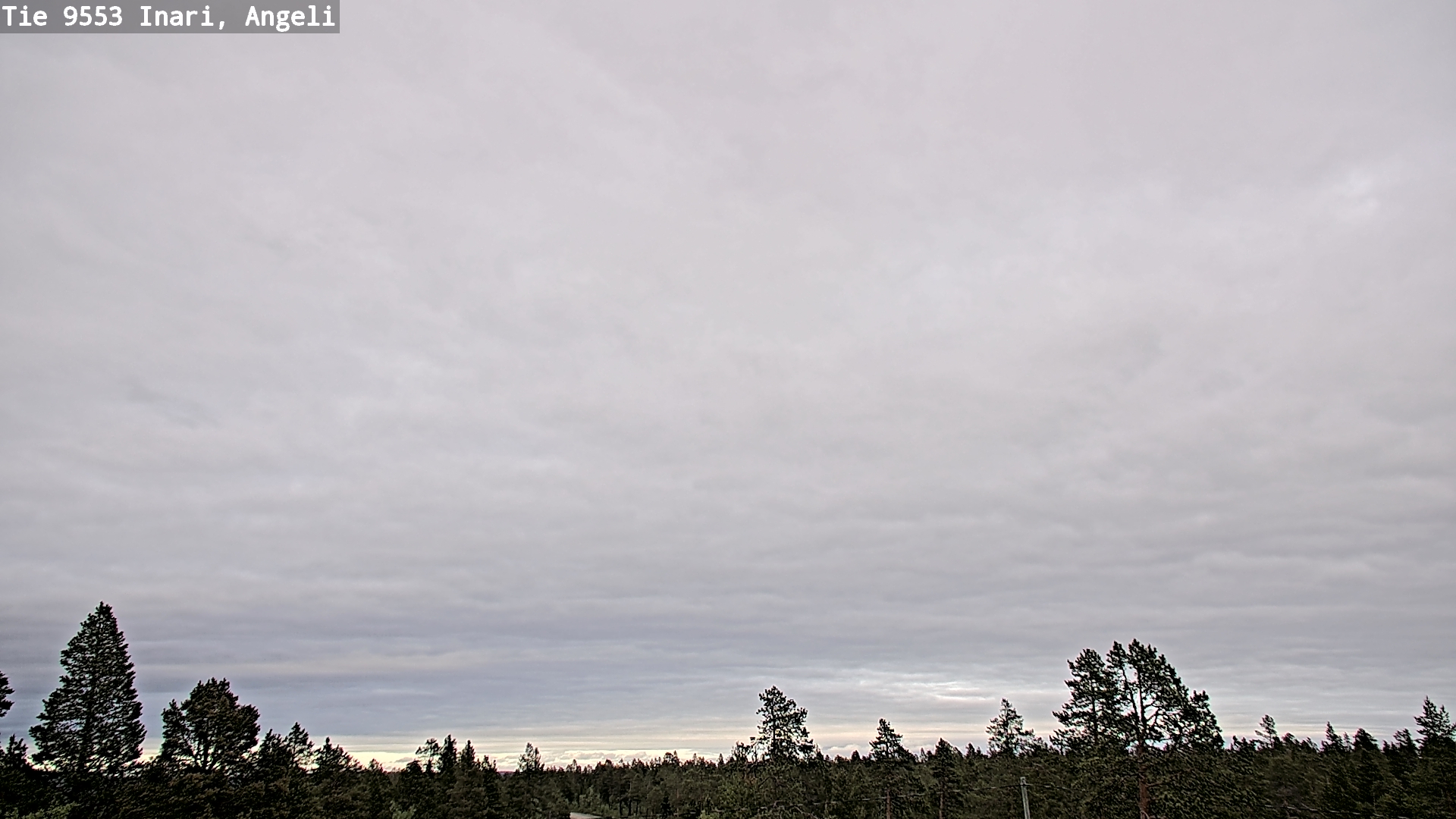 Kelikamerat Kuva Tie 9553 Inari, Angeli, Lintupuolivaara, Inari, Lappi