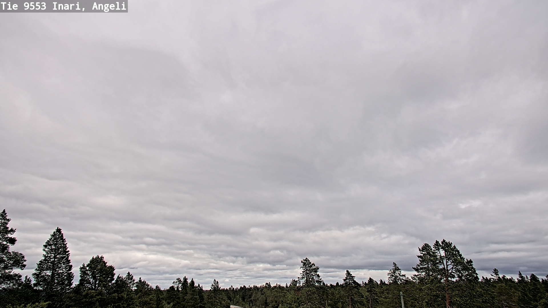 Kelikamerat Kuva Tie 9553 Inari, Angeli, Lintupuolivaara, Inari, Lappi