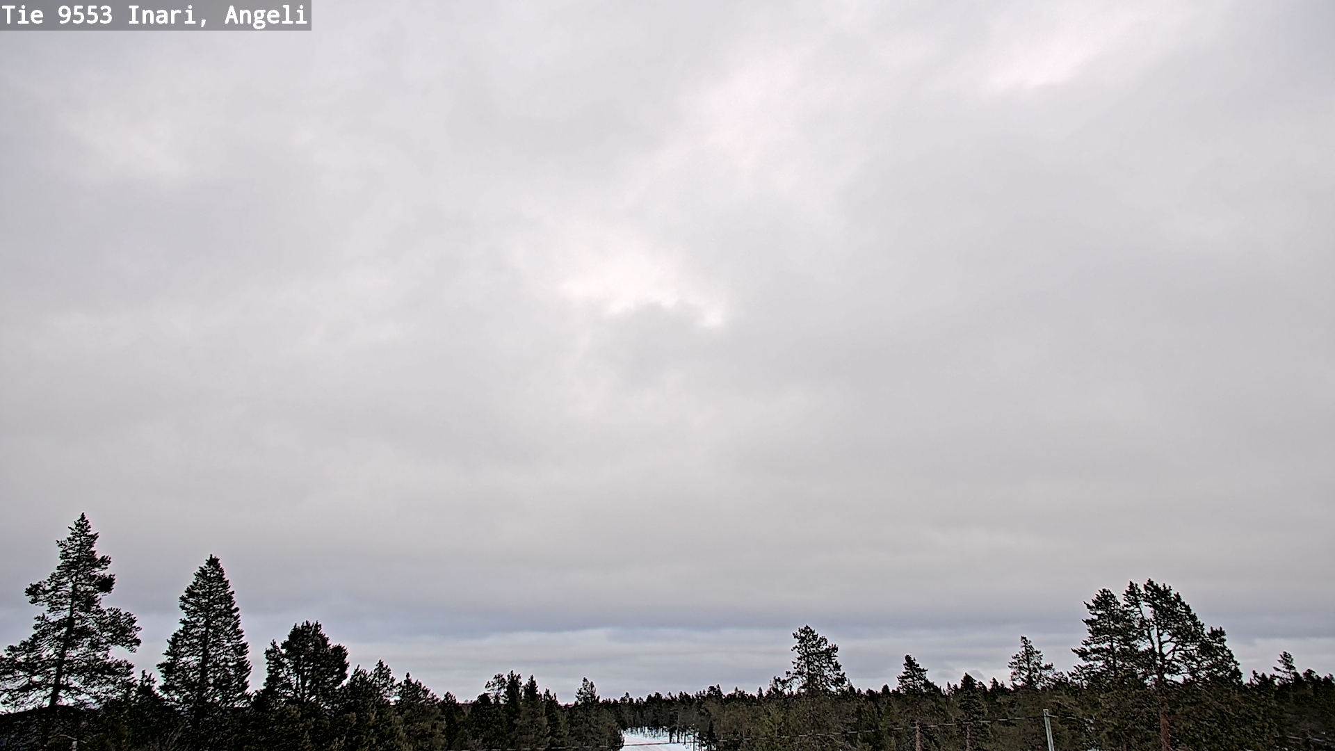 Kelikamerat Kuva Tie 9553 Inari, Angeli, Lintupuolivaara, Inari, Lappi