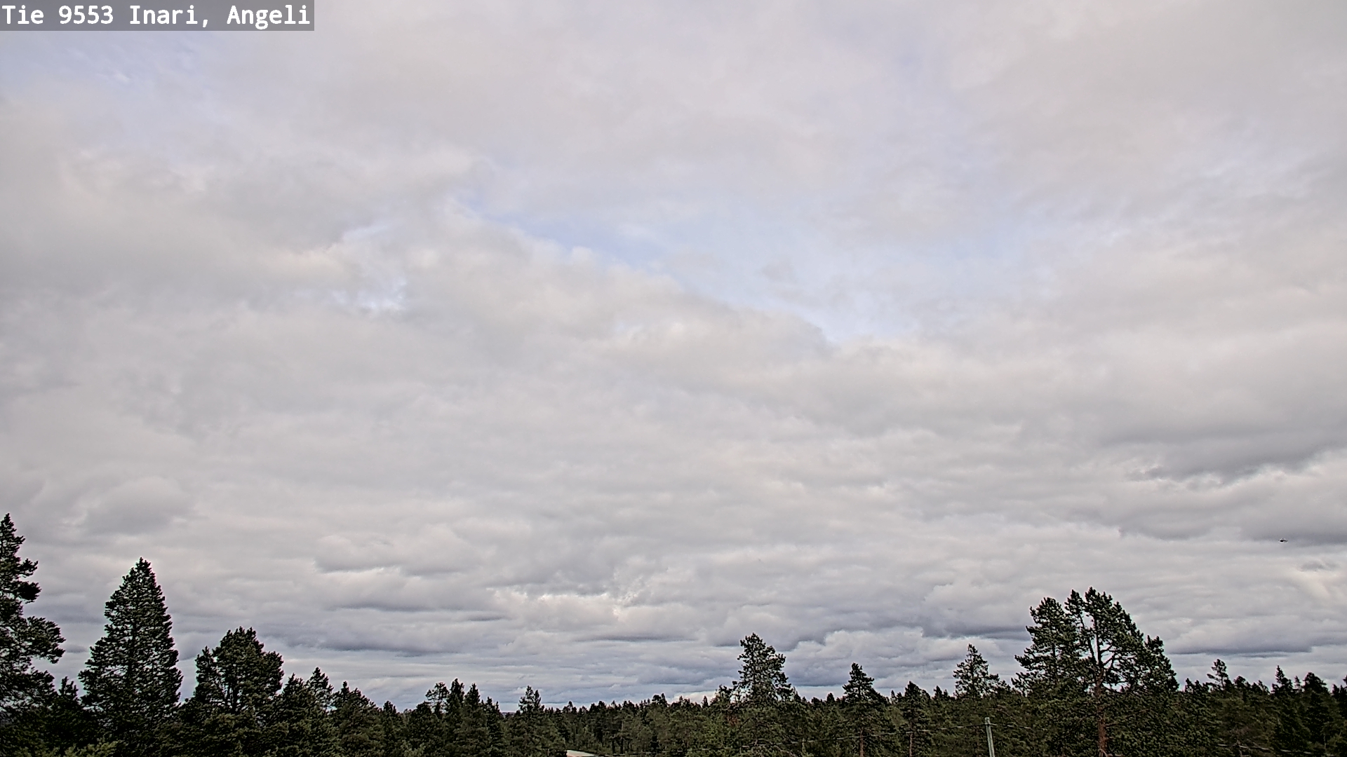 Kelikamerat Kuva Tie 9553 Inari, Angeli, Lintupuolivaara, Inari, Lappi