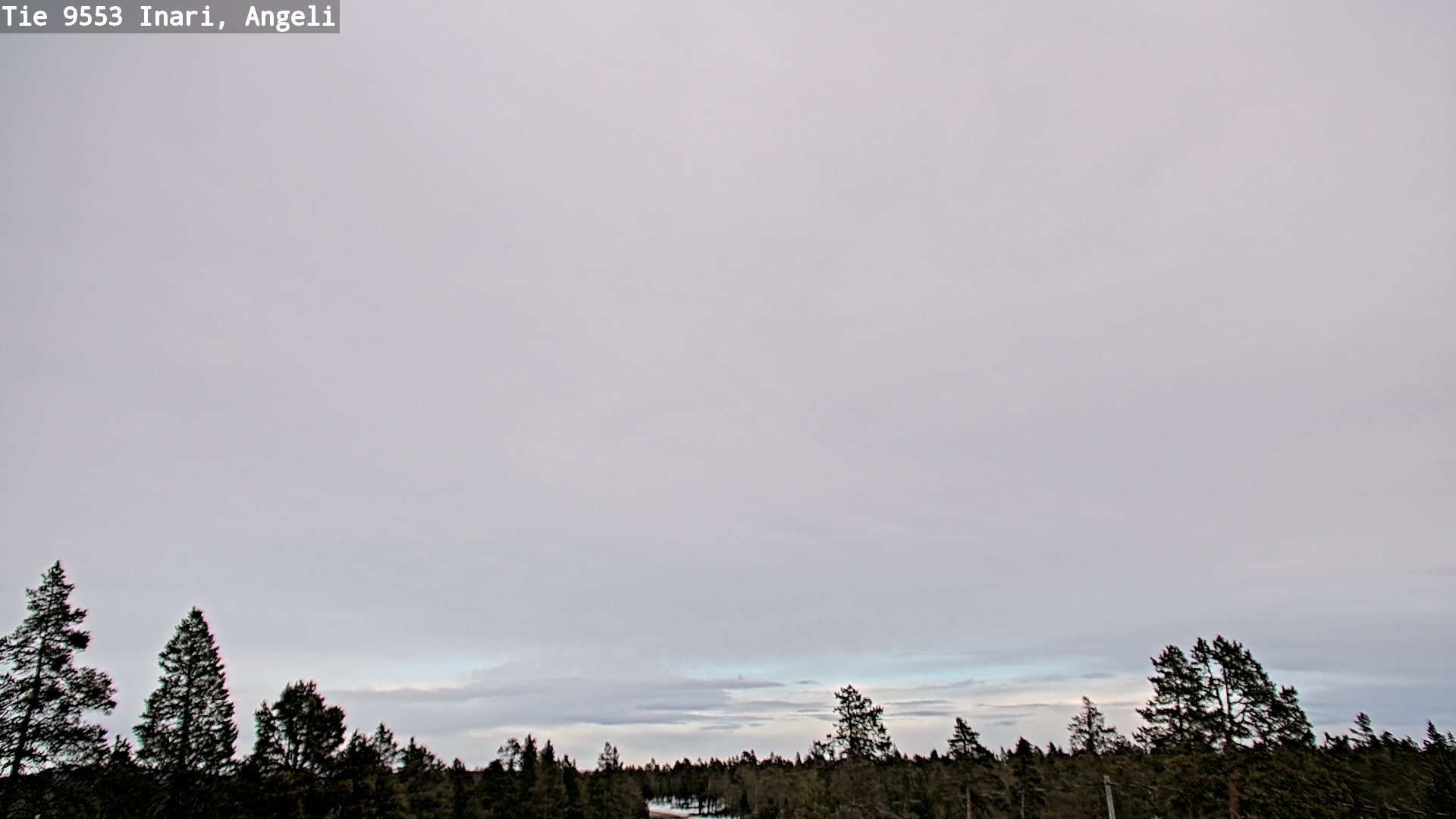 Weather Camera Image Road 9553 Inari, Angeli, Lintupuolivaara, Inari, Lappi