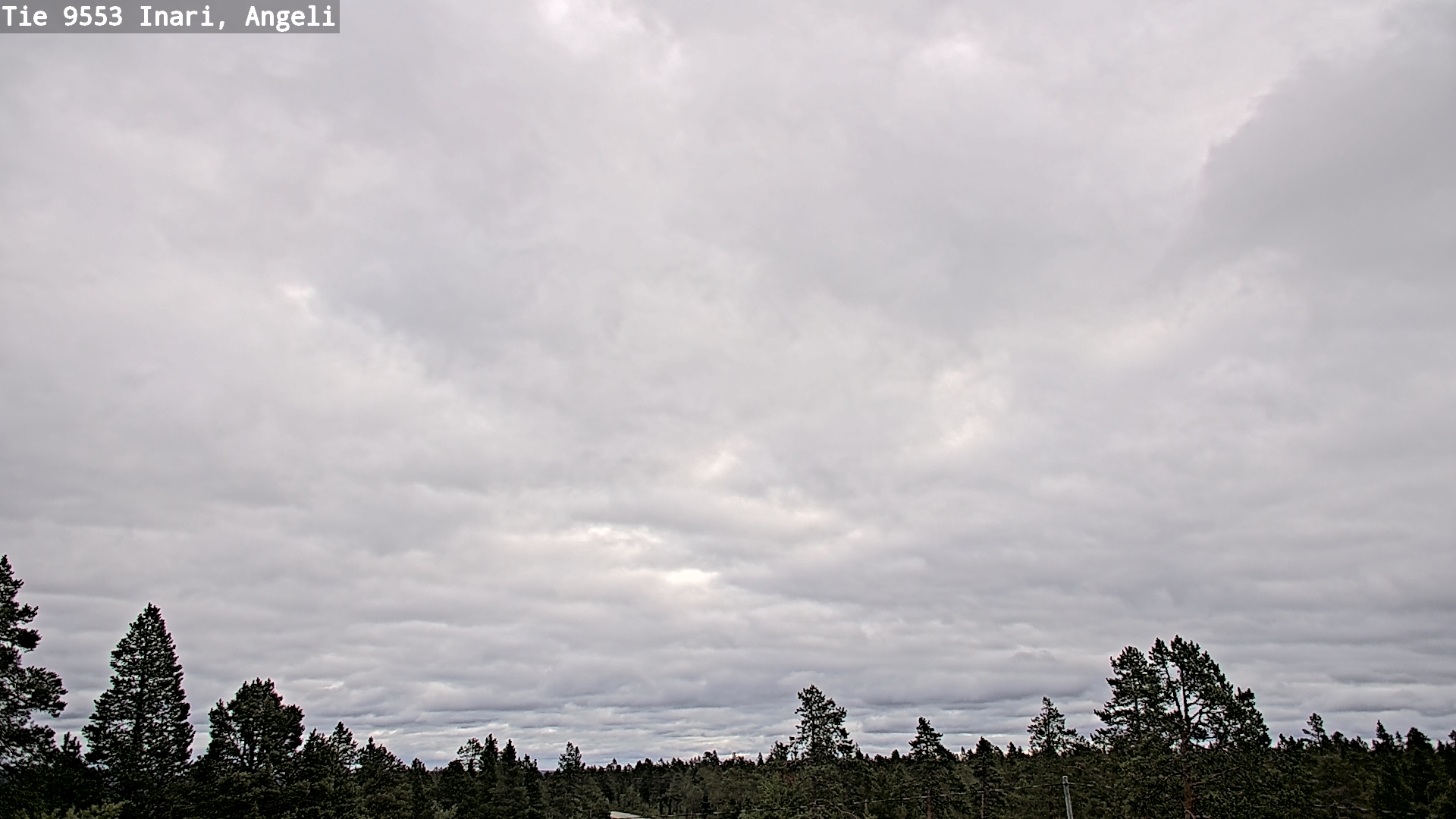 Kelikamerat Kuva Tie 9553 Inari, Angeli, Lintupuolivaara, Inari, Lappi