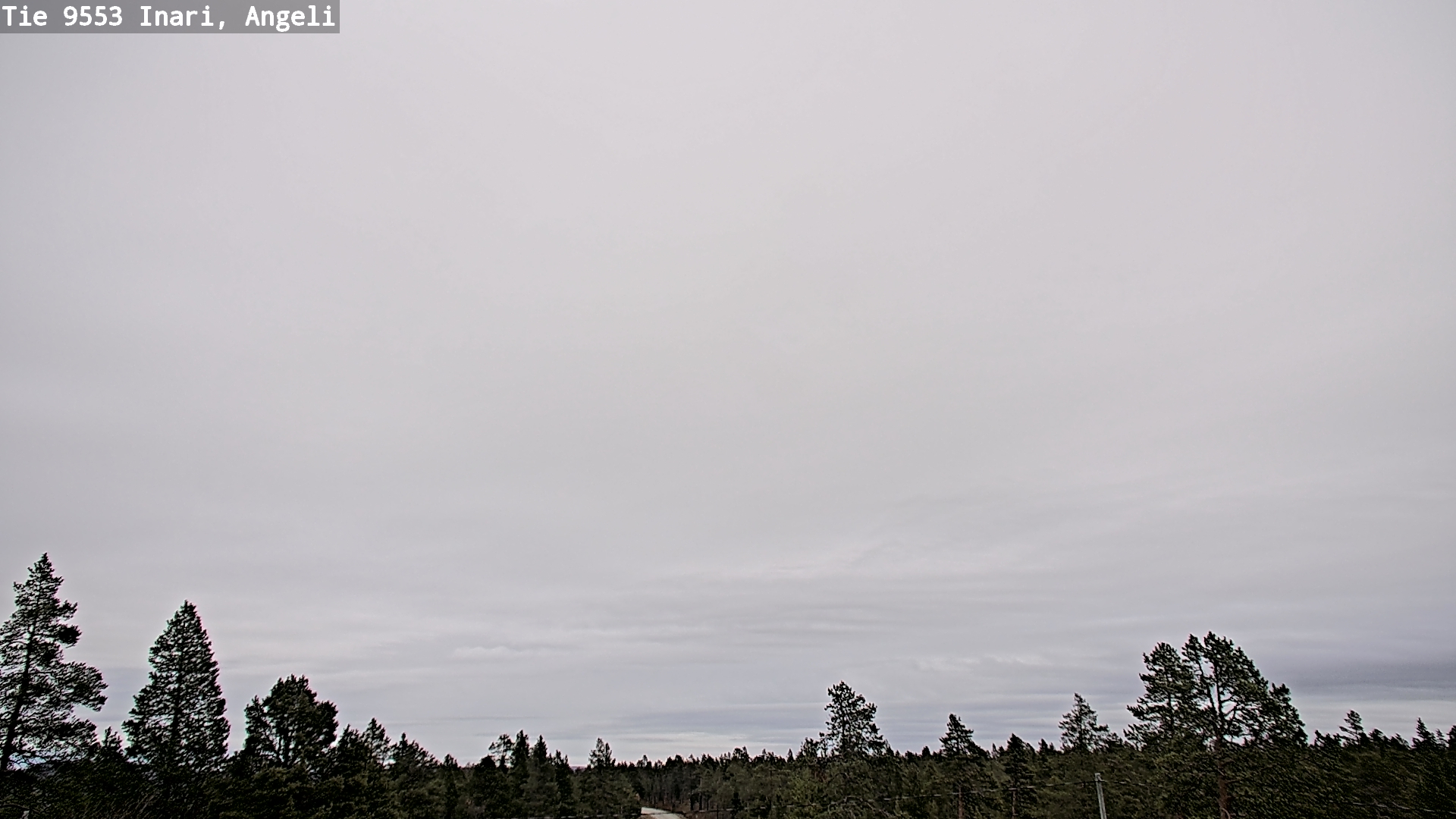 Kelikamerat Kuva Tie 9553 Inari, Angeli, Lintupuolivaara, Inari, Lappi