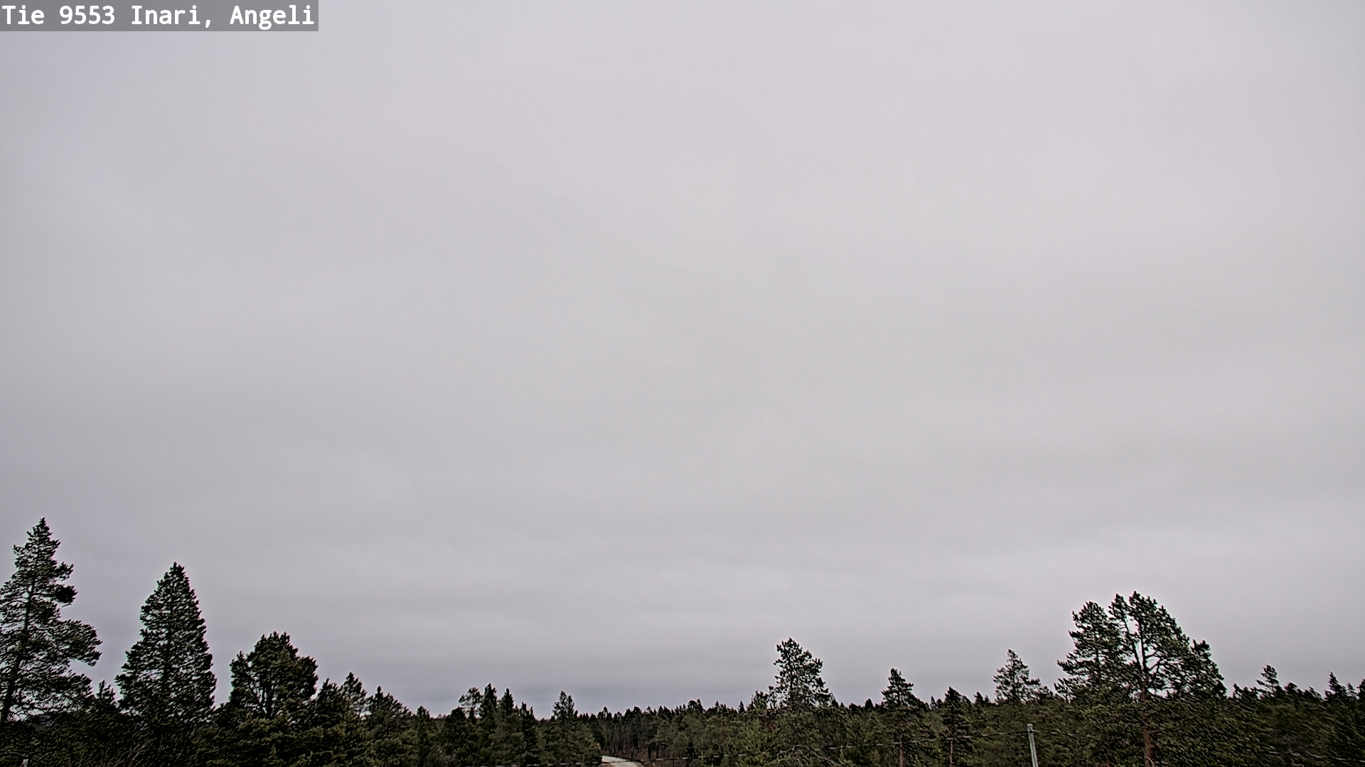 Kelikamerat Kuva Tie 9553 Inari, Angeli, Lintupuolivaara, Inari, Lappi