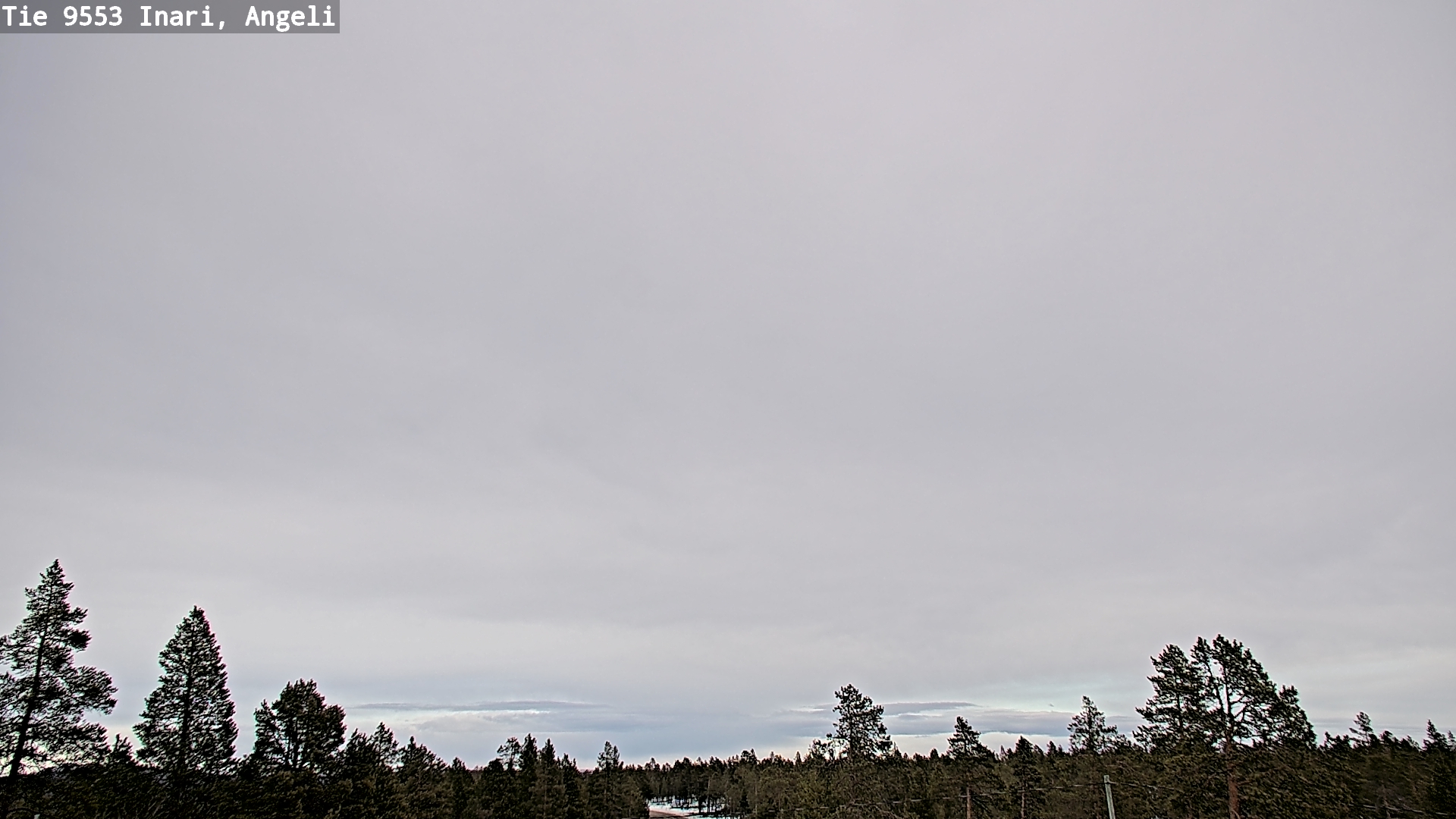 Weather Camera Image Road 9553 Inari, Angeli, Lintupuolivaara, Inari, Lappi