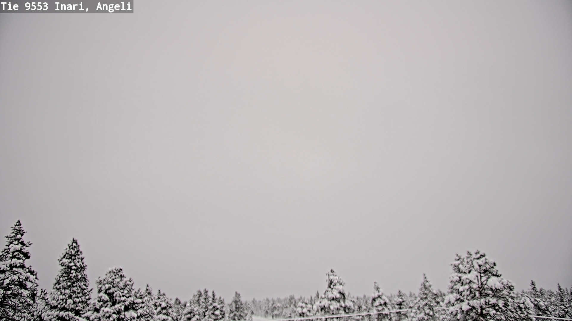 Weather Camera Image Road 9553 Inari, Angeli, Lintupuolivaara, Inari, Lappi