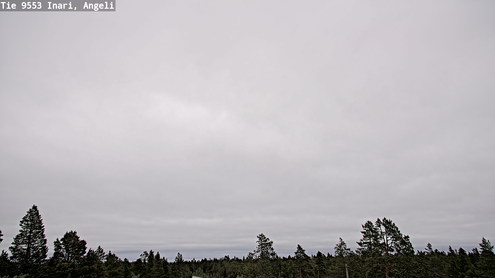 Weather Camera Image Road 9553 Inari, Angeli, Lintupuolivaara, Inari, Lappi