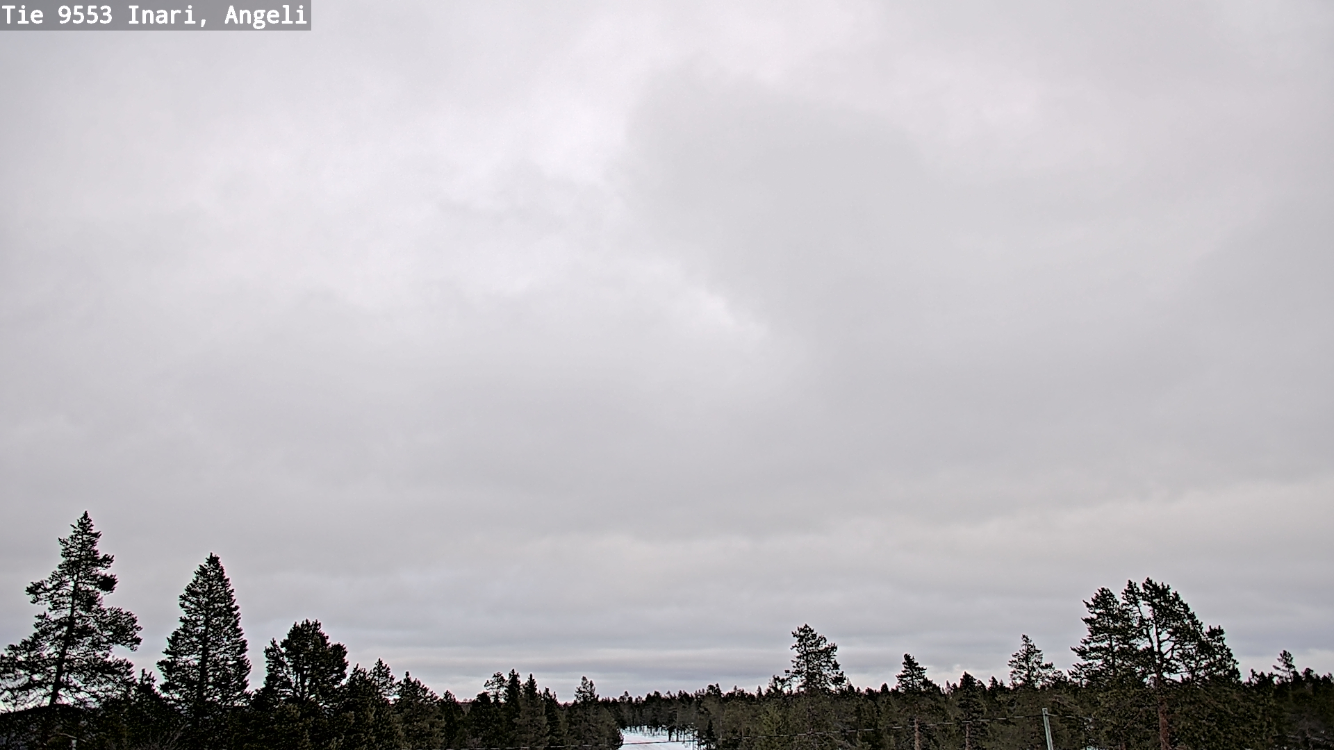 Kelikamerat Kuva Tie 9553 Inari, Angeli, Lintupuolivaara, Inari, Lappi