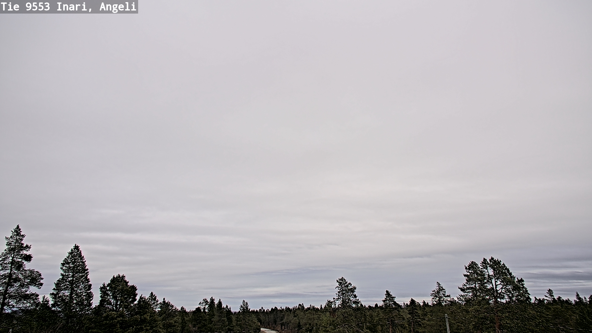 Kelikamerat Kuva Tie 9553 Inari, Angeli, Lintupuolivaara, Inari, Lappi