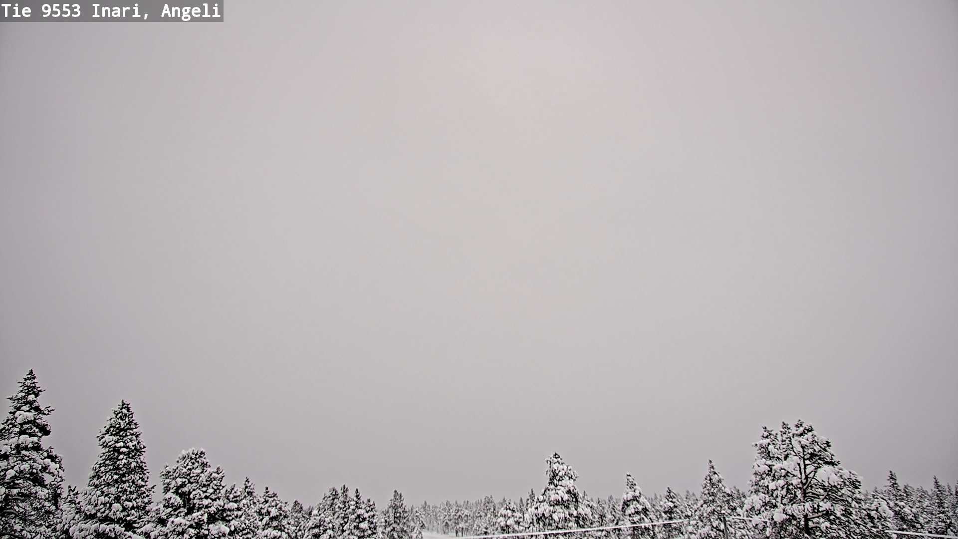 Weather Camera Image Road 9553 Inari, Angeli, Lintupuolivaara, Inari, Lappi