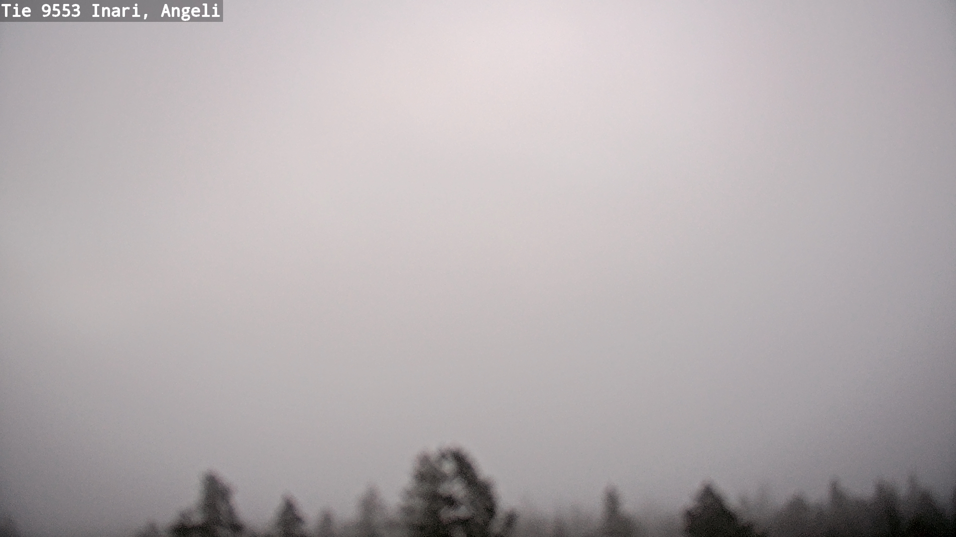 Kelikamerat Kuva Tie 9553 Inari, Angeli, Lintupuolivaara, Inari, Lappi