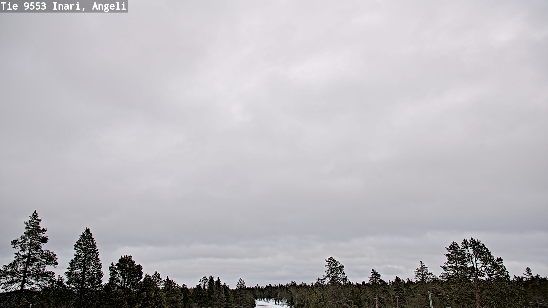 Kelikamerat Kuva Tie 9553 Inari, Angeli, Lintupuolivaara, Inari, Lappi