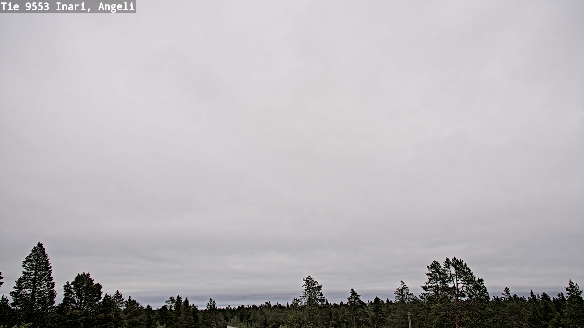 Weather Camera Image Road 9553 Inari, Angeli, Lintupuolivaara, Inari, Lappi