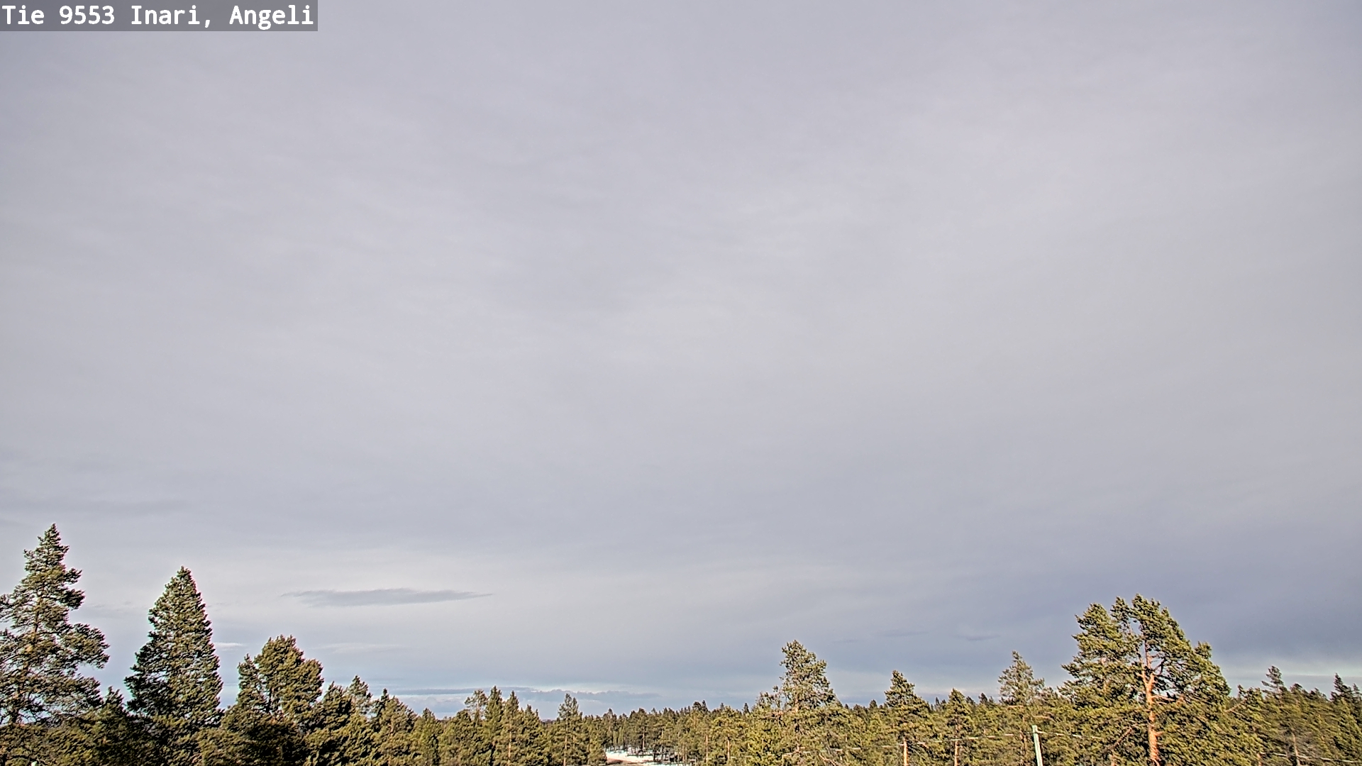 Weather Camera Image Road 9553 Inari, Angeli, Lintupuolivaara, Inari, Lappi
