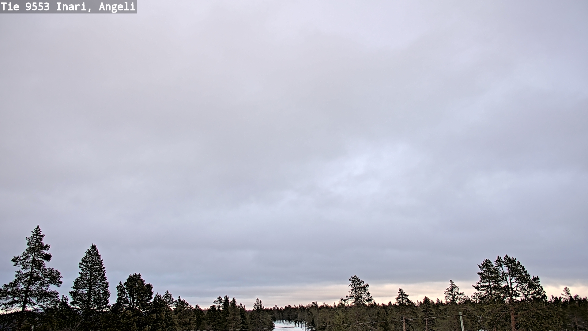 Weather Camera Image Road 9553 Inari, Angeli, Lintupuolivaara, Inari, Lappi