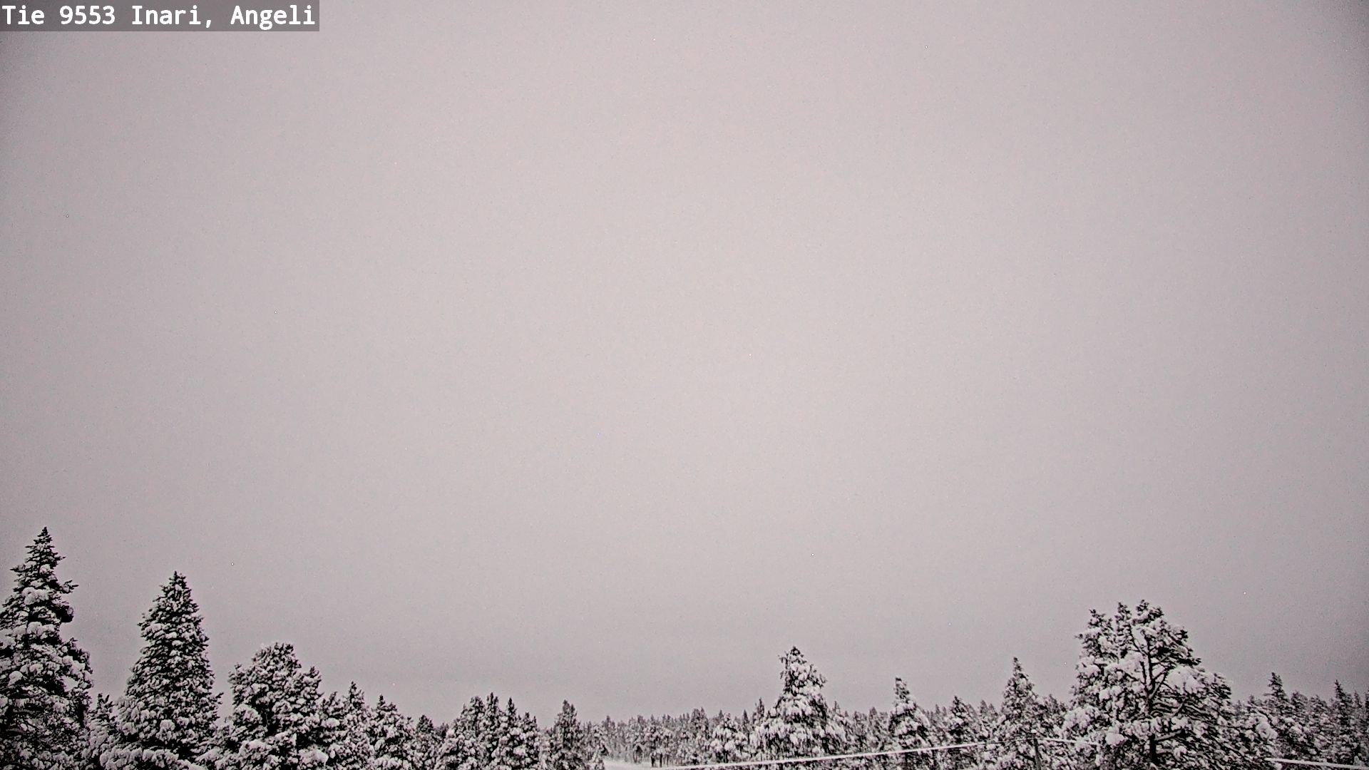 Weather Camera Image Road 9553 Inari, Angeli, Lintupuolivaara, Inari, Lappi
