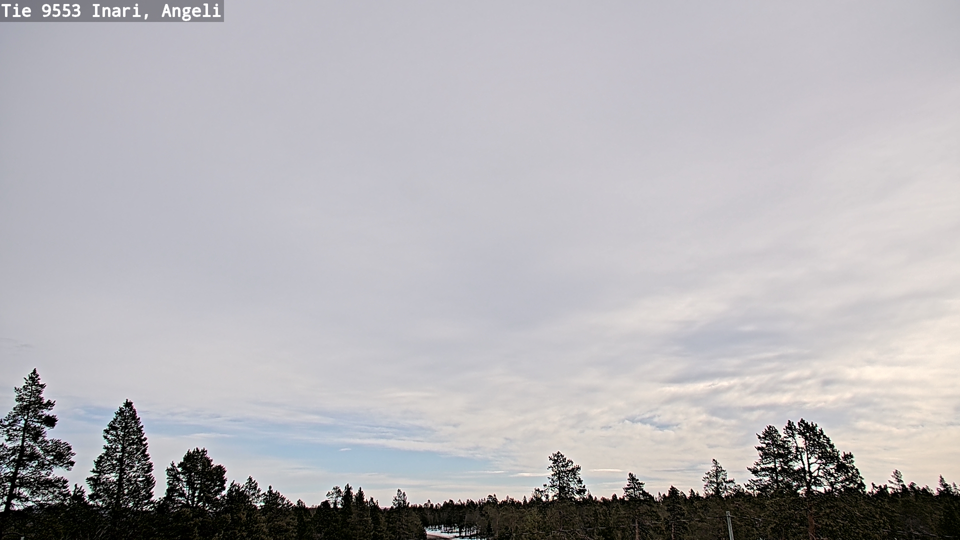 Weather Camera Image Road 9553 Inari, Angeli, Lintupuolivaara, Inari, Lappi
