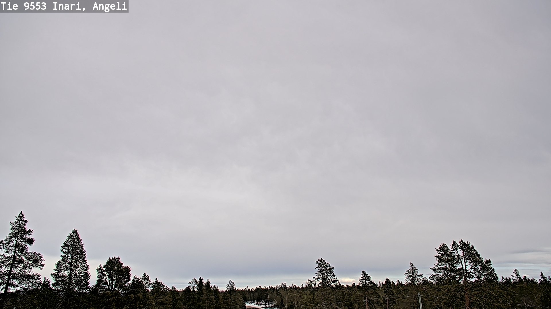 Weather Camera Image Road 9553 Inari, Angeli, Lintupuolivaara, Inari, Lappi