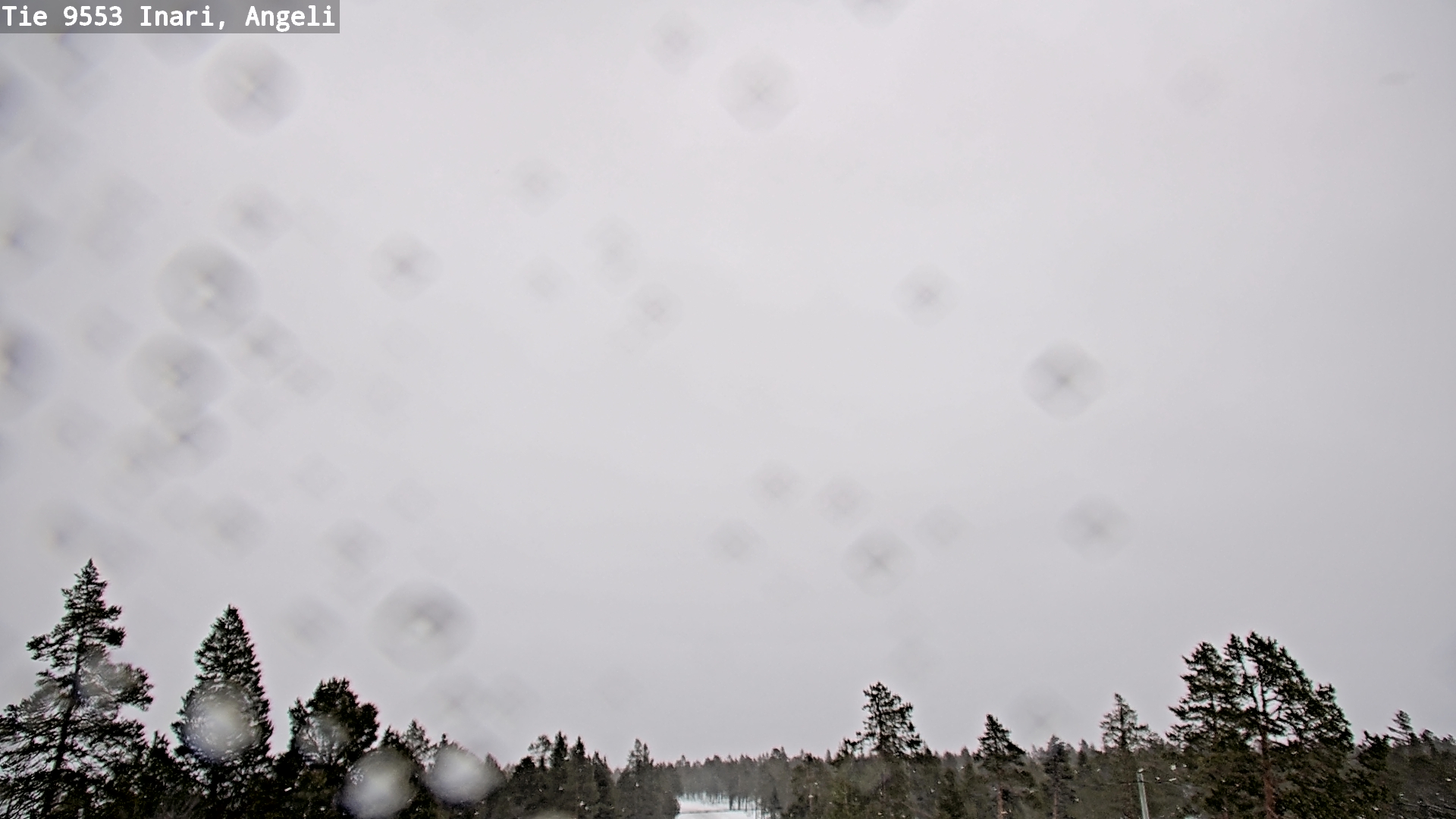 Kelikamerat Kuva Tie 9553 Inari, Angeli, Lintupuolivaara, Inari, Lappi