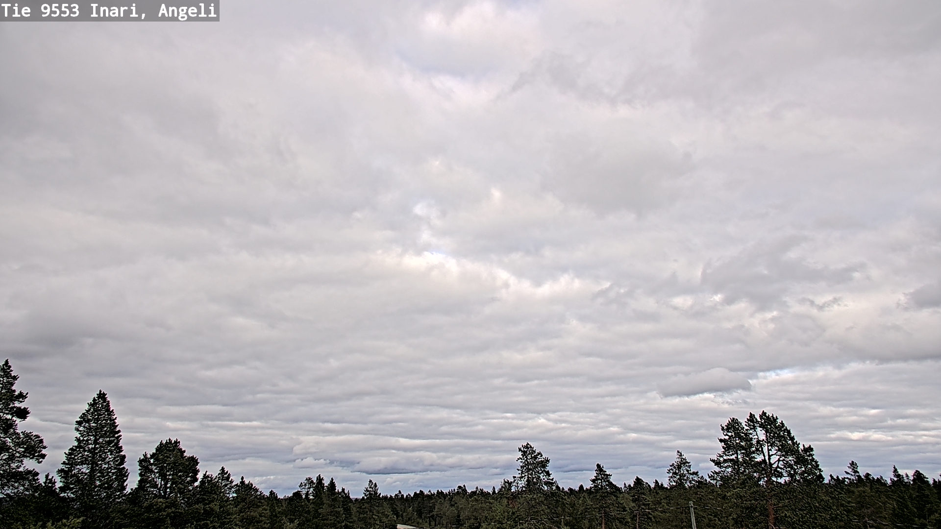 Kelikamerat Kuva Tie 9553 Inari, Angeli, Lintupuolivaara, Inari, Lappi