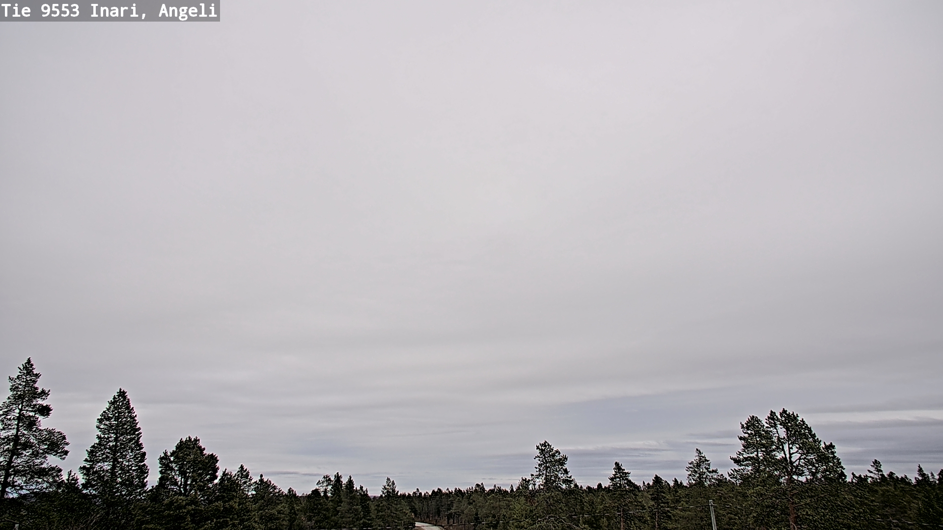 Kelikamerat Kuva Tie 9553 Inari, Angeli, Lintupuolivaara, Inari, Lappi