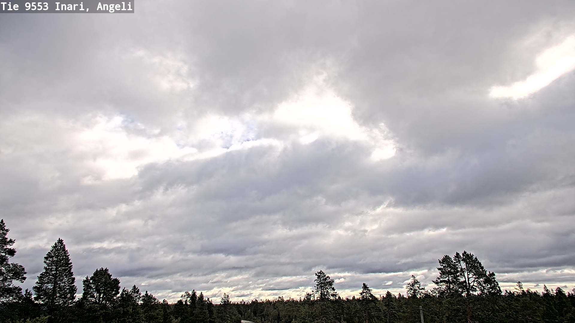 Weather Camera Image Road 9553 Inari, Angeli, Lintupuolivaara, Inari, Lappi