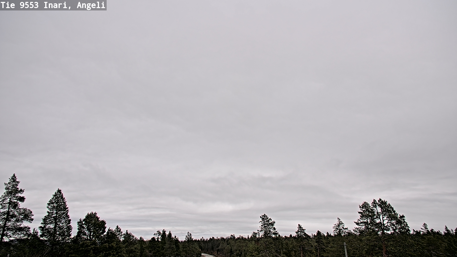 Kelikamerat Kuva Tie 9553 Inari, Angeli, Lintupuolivaara, Inari, Lappi