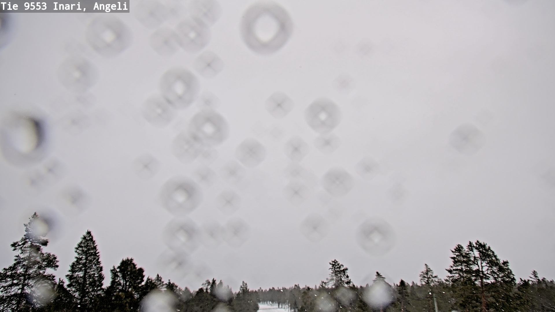 Kelikamerat Kuva Tie 9553 Inari, Angeli, Lintupuolivaara, Inari, Lappi