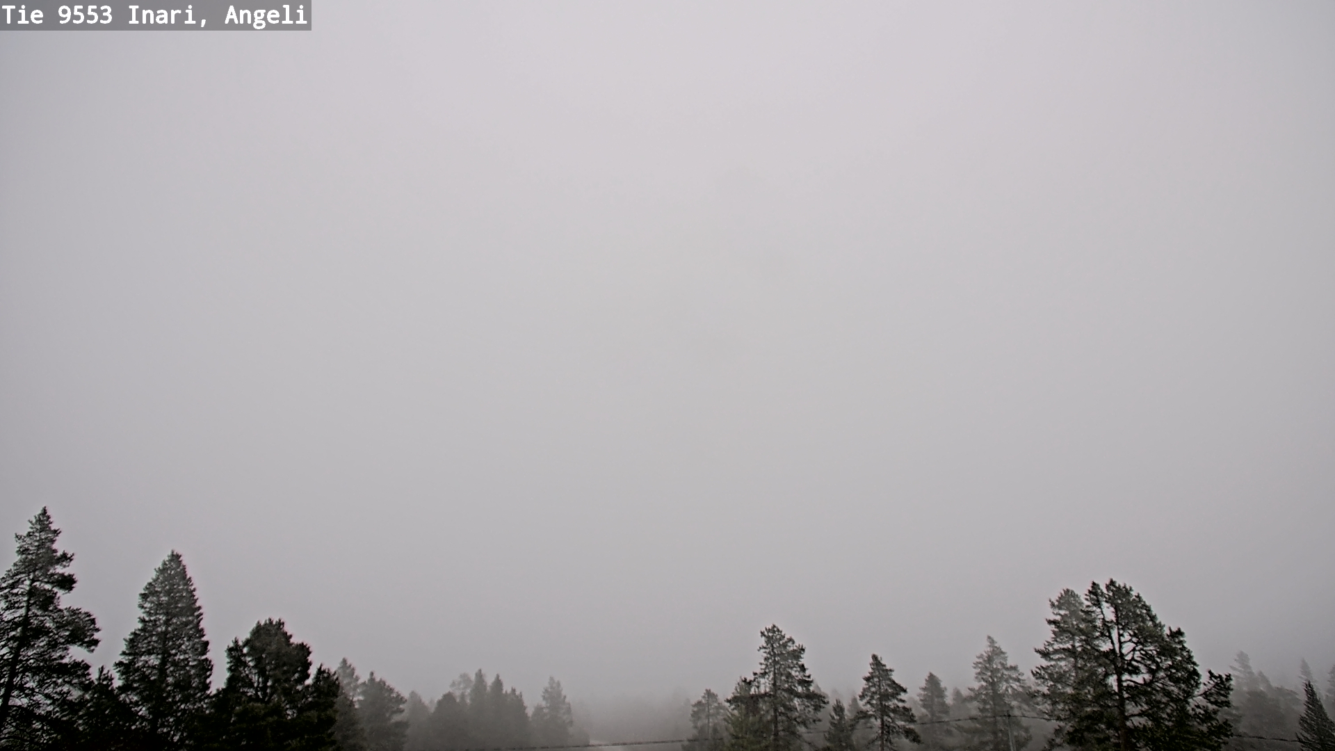 Weather Camera Image Road 9553 Inari, Angeli, Lintupuolivaara, Inari, Lappi