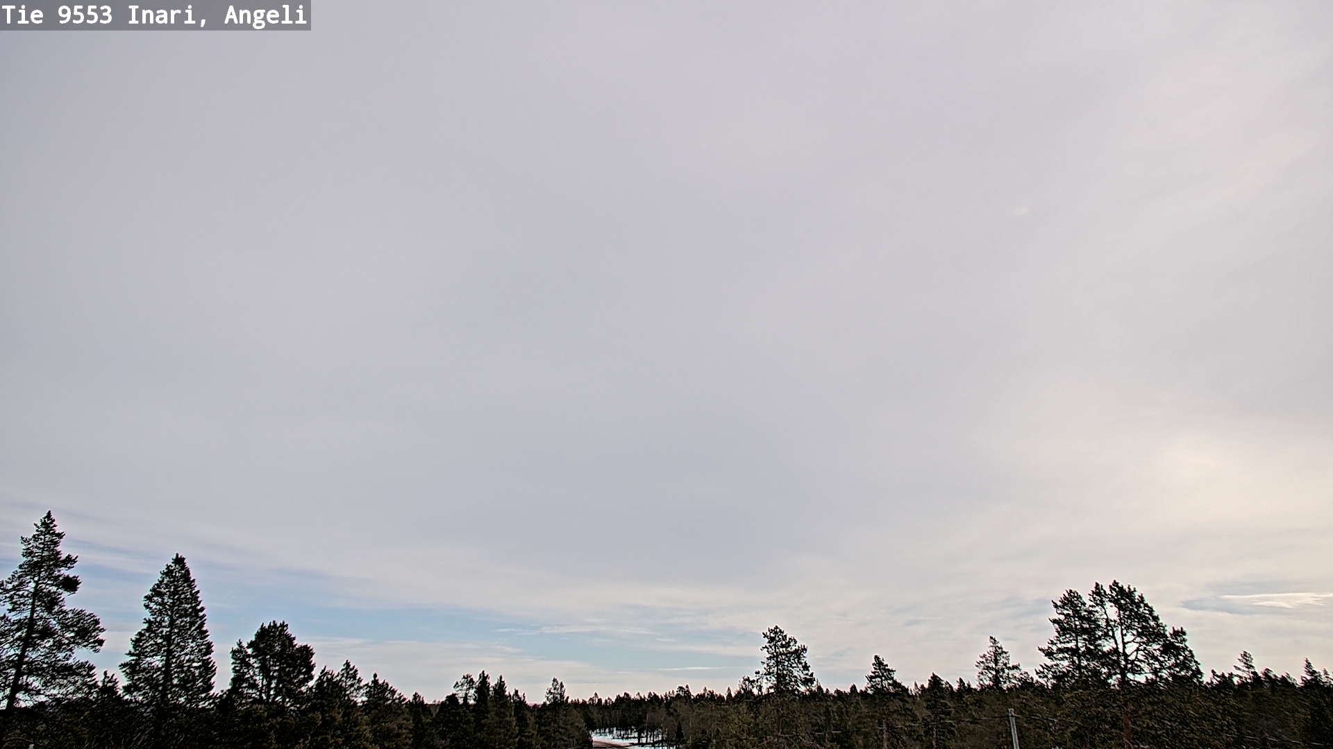 Weather Camera Image Road 9553 Inari, Angeli, Lintupuolivaara, Inari, Lappi